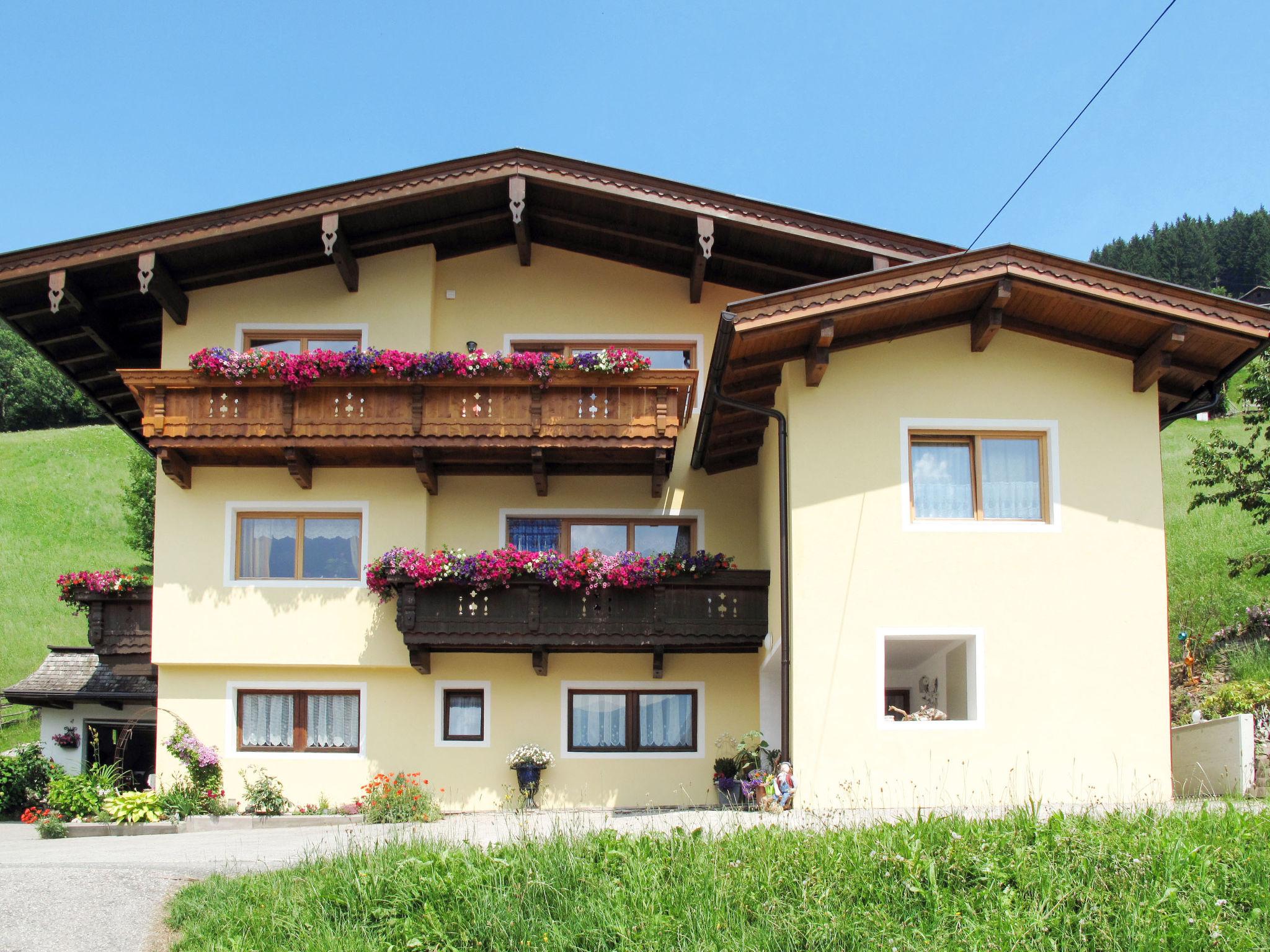 Foto 14 - Apartamento de 1 habitación en Ramsau im Zillertal con terraza y vistas a la montaña