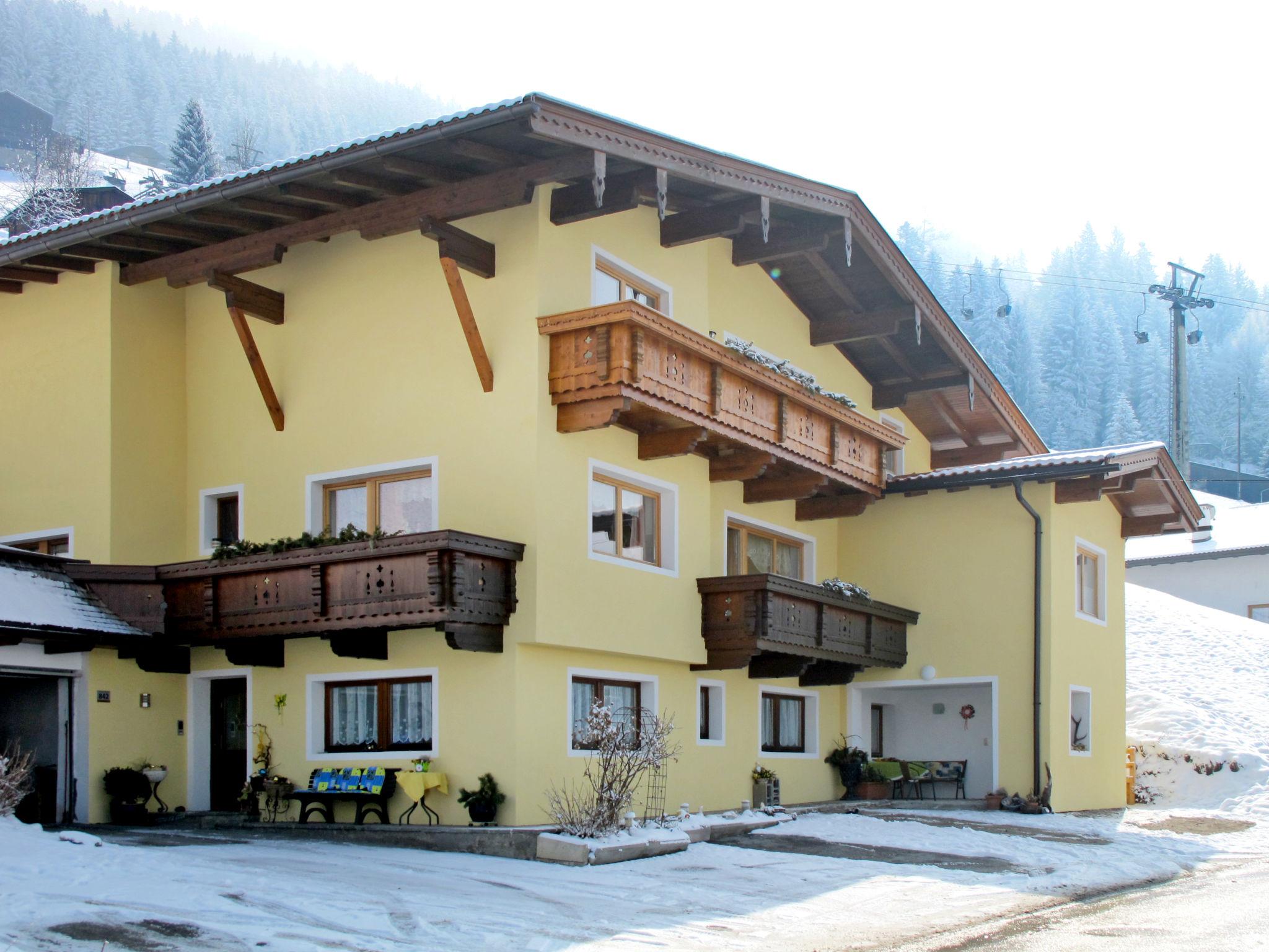 Foto 15 - Apartamento de 1 quarto em Ramsau im Zillertal com terraço e vista para a montanha