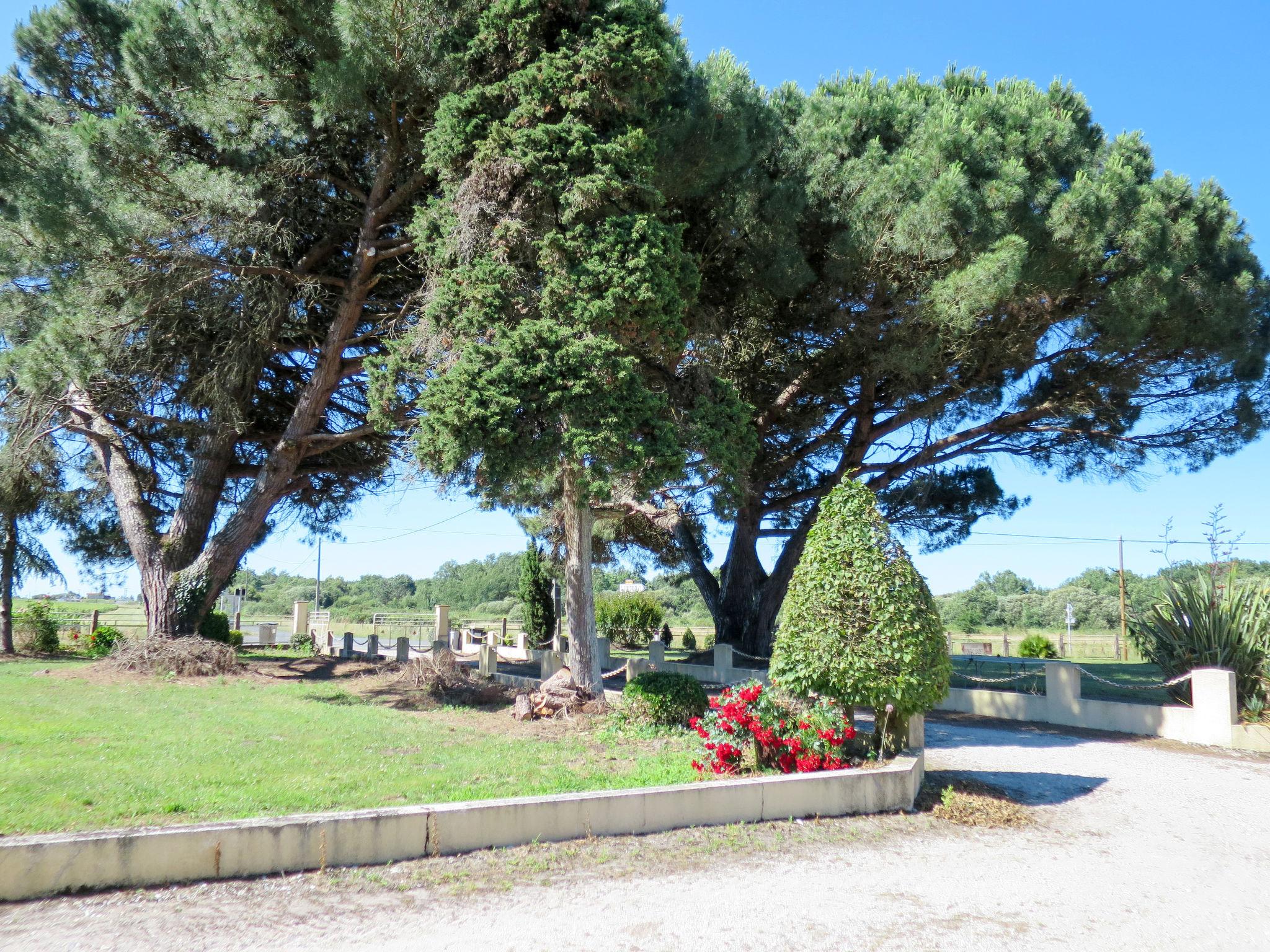 Foto 12 - Casa con 2 camere da letto a Jau-Dignac-et-Loirac con giardino e terrazza