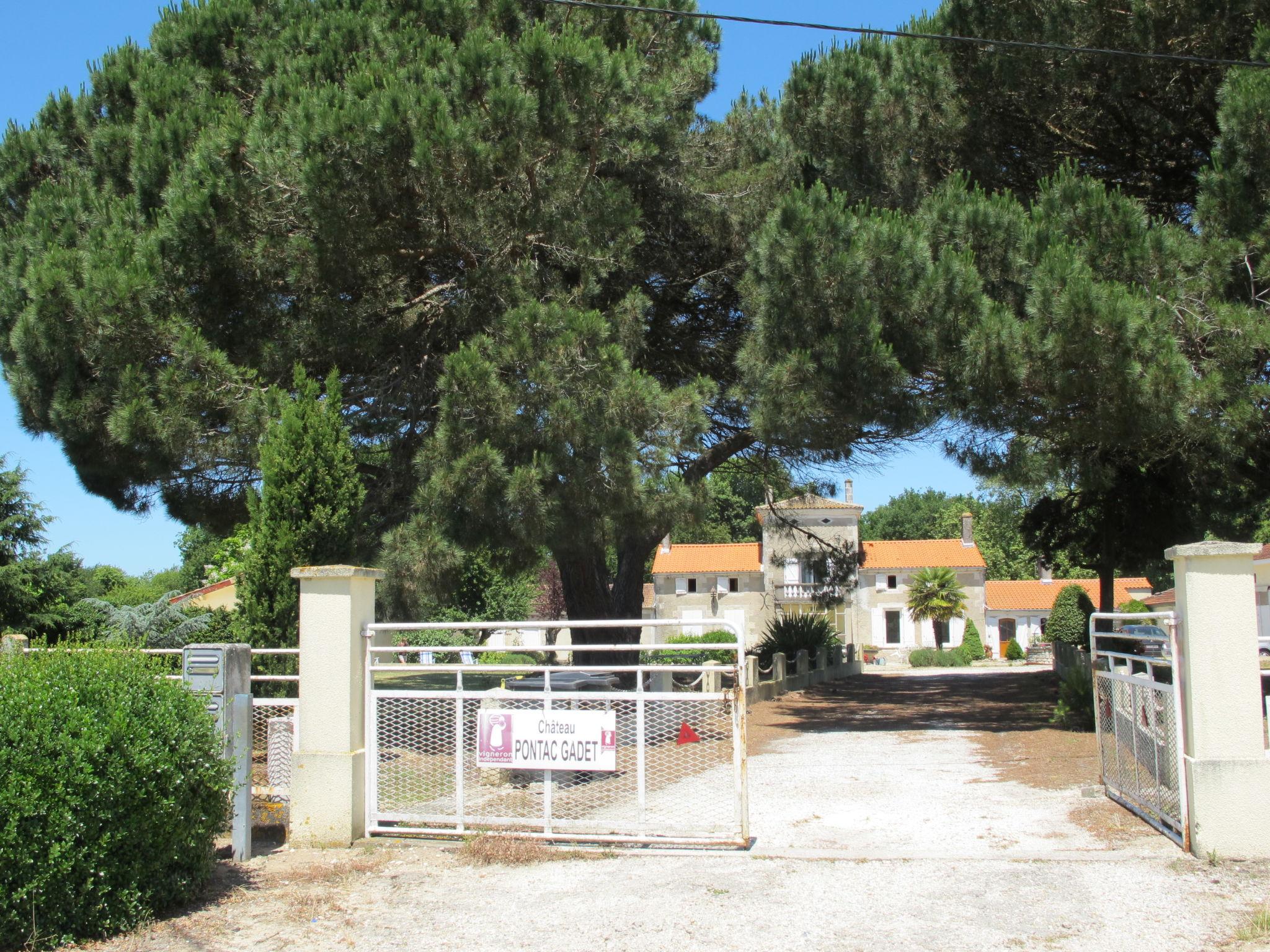 Foto 14 - Casa con 2 camere da letto a Jau-Dignac-et-Loirac con giardino e terrazza