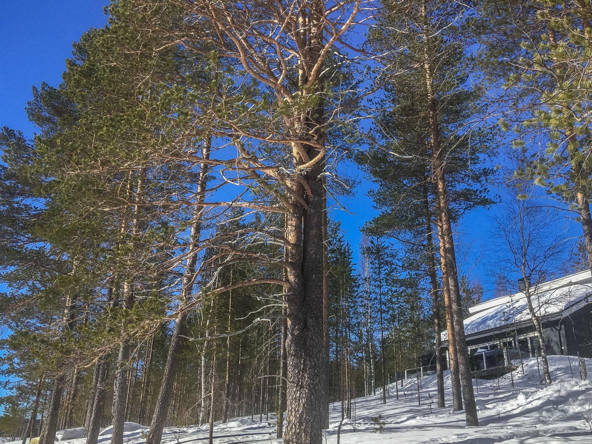 Foto 55 - Casa de 2 habitaciones en Rovaniemi con sauna y vistas a la montaña