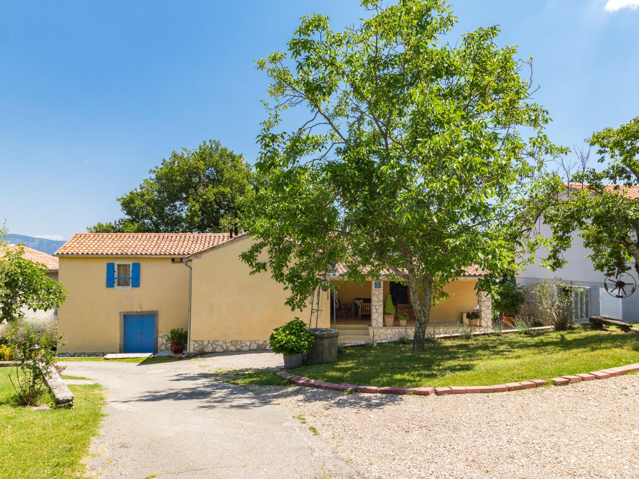 Foto 28 - Casa con 3 camere da letto a Pićan con piscina privata e giardino