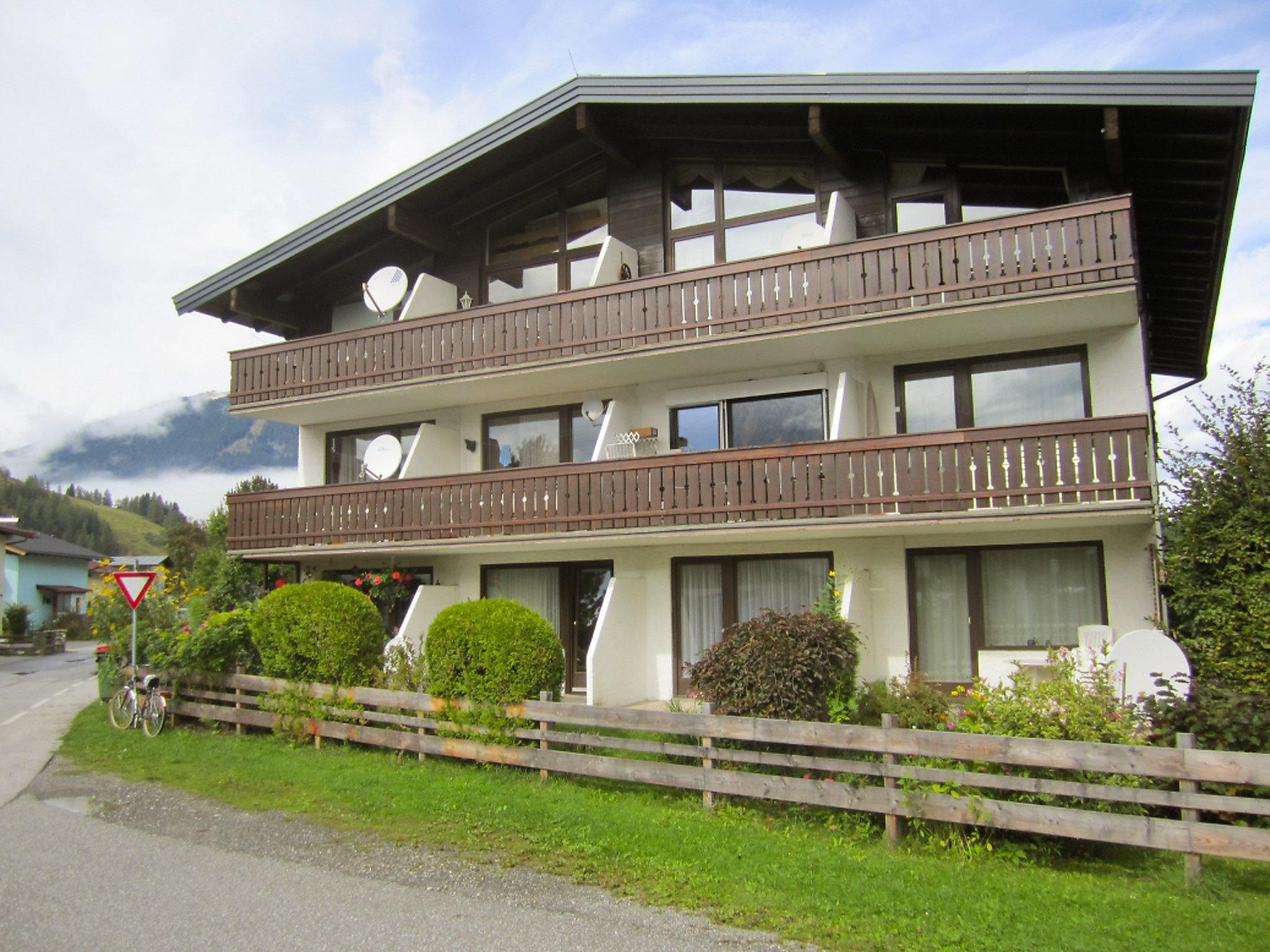 Foto 20 - Apartamento de 1 quarto em Maishofen com vista para a montanha