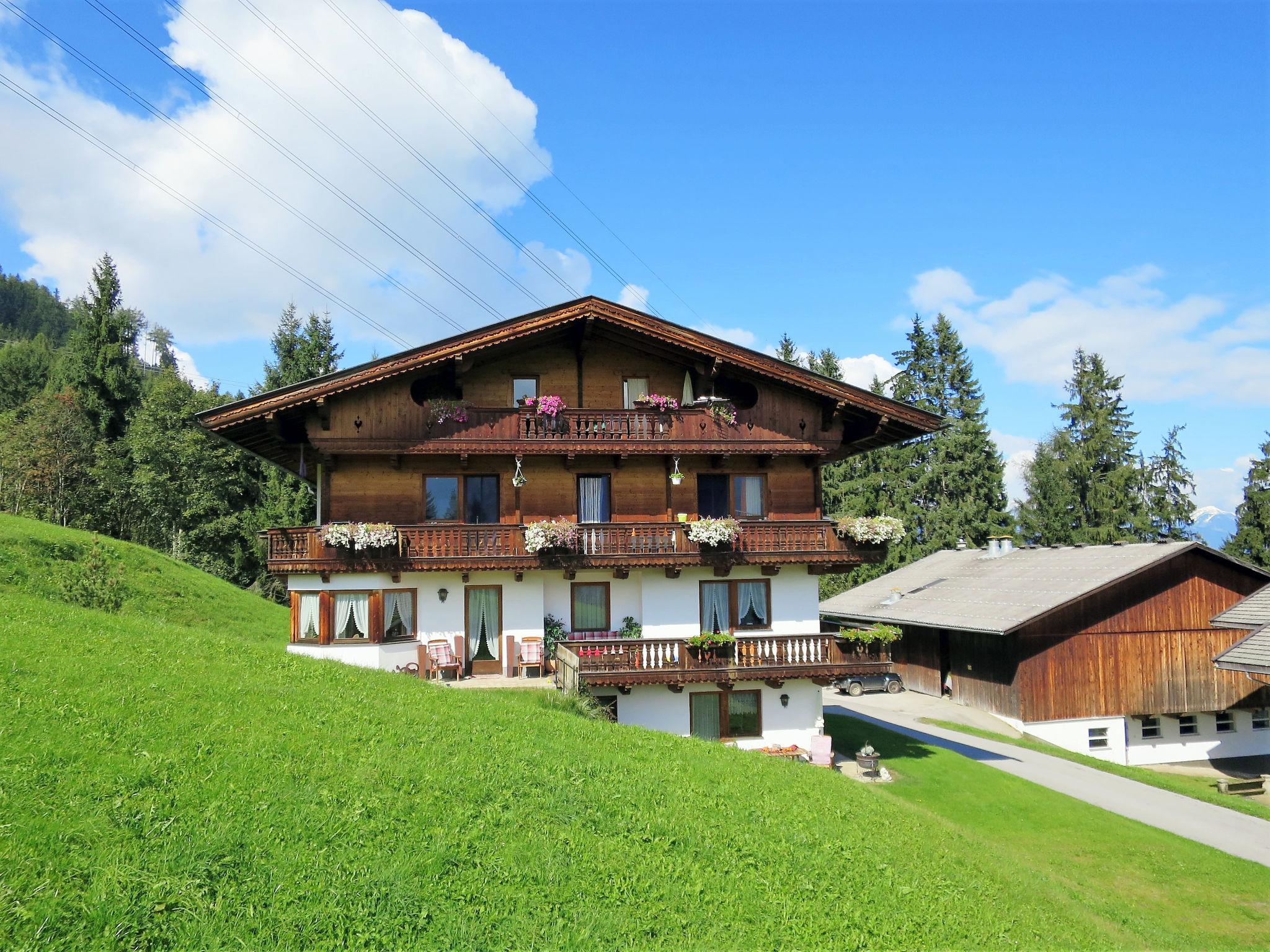 Foto 12 - Apartamento de 1 quarto em Kaltenbach com vista para a montanha