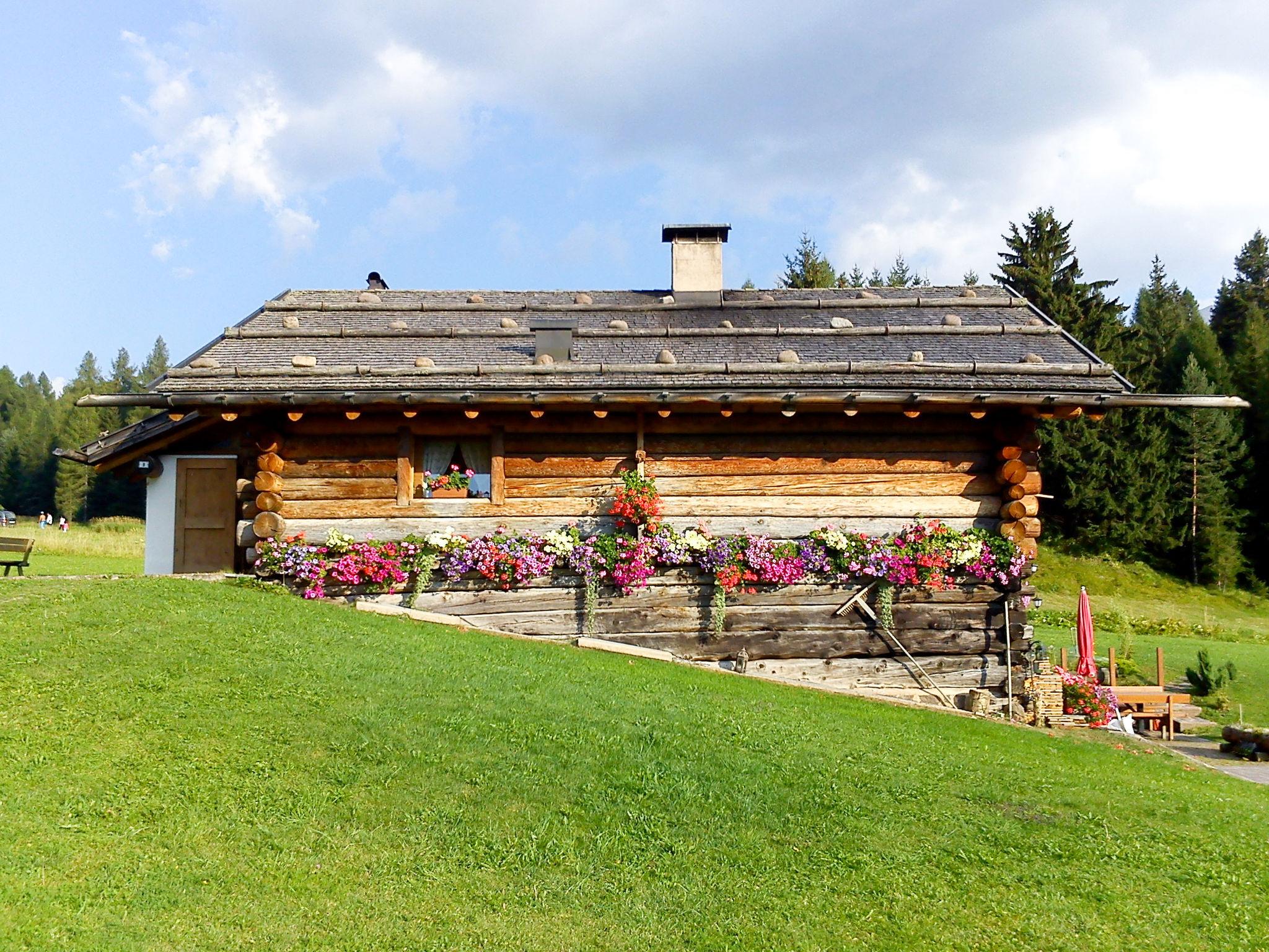 Photo 20 - Appartement de 4 chambres à Predazzo avec jardin et vues sur la montagne