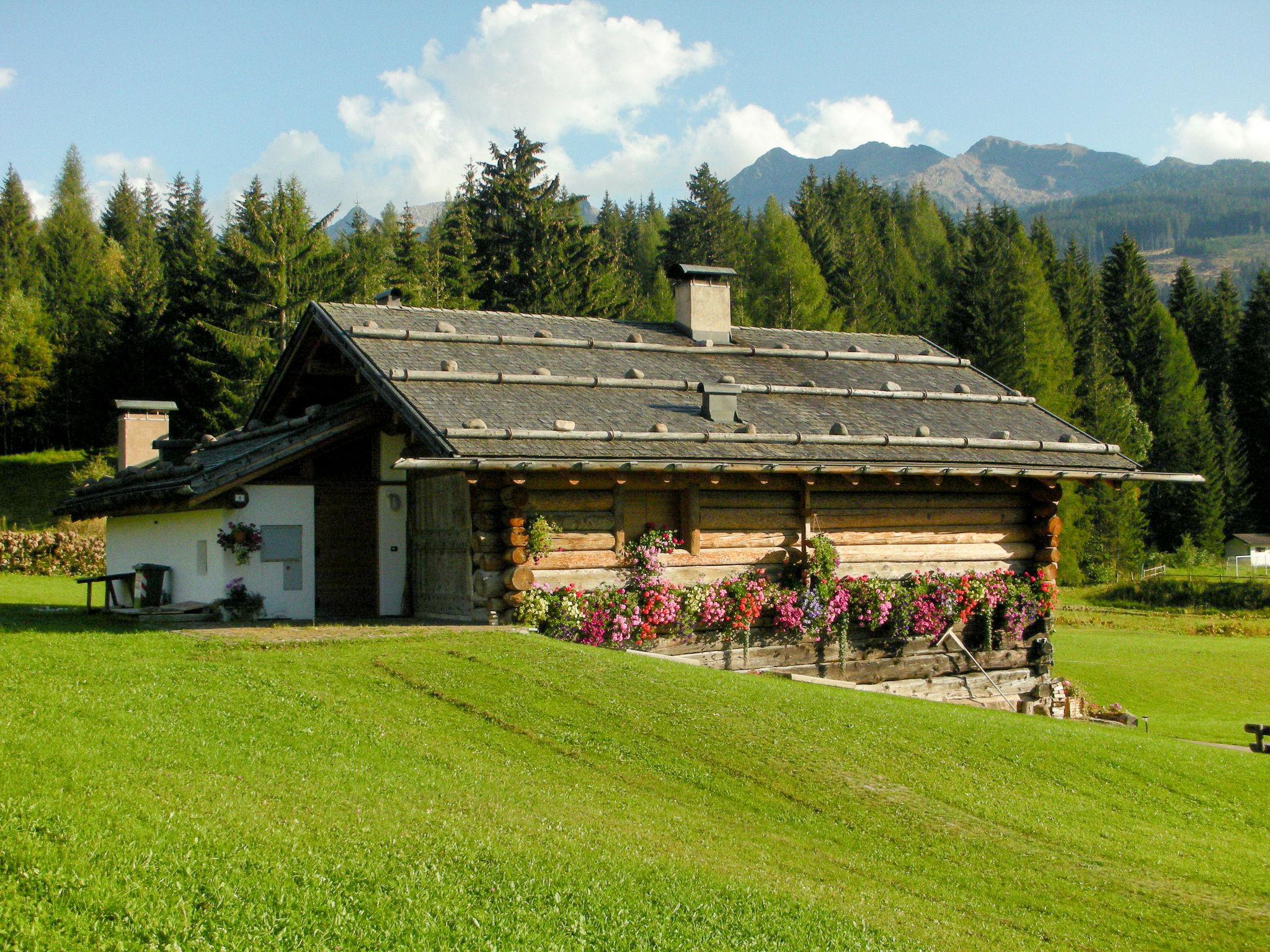 Foto 1 - Appartamento con 4 camere da letto a Predazzo con giardino e vista sulle montagne