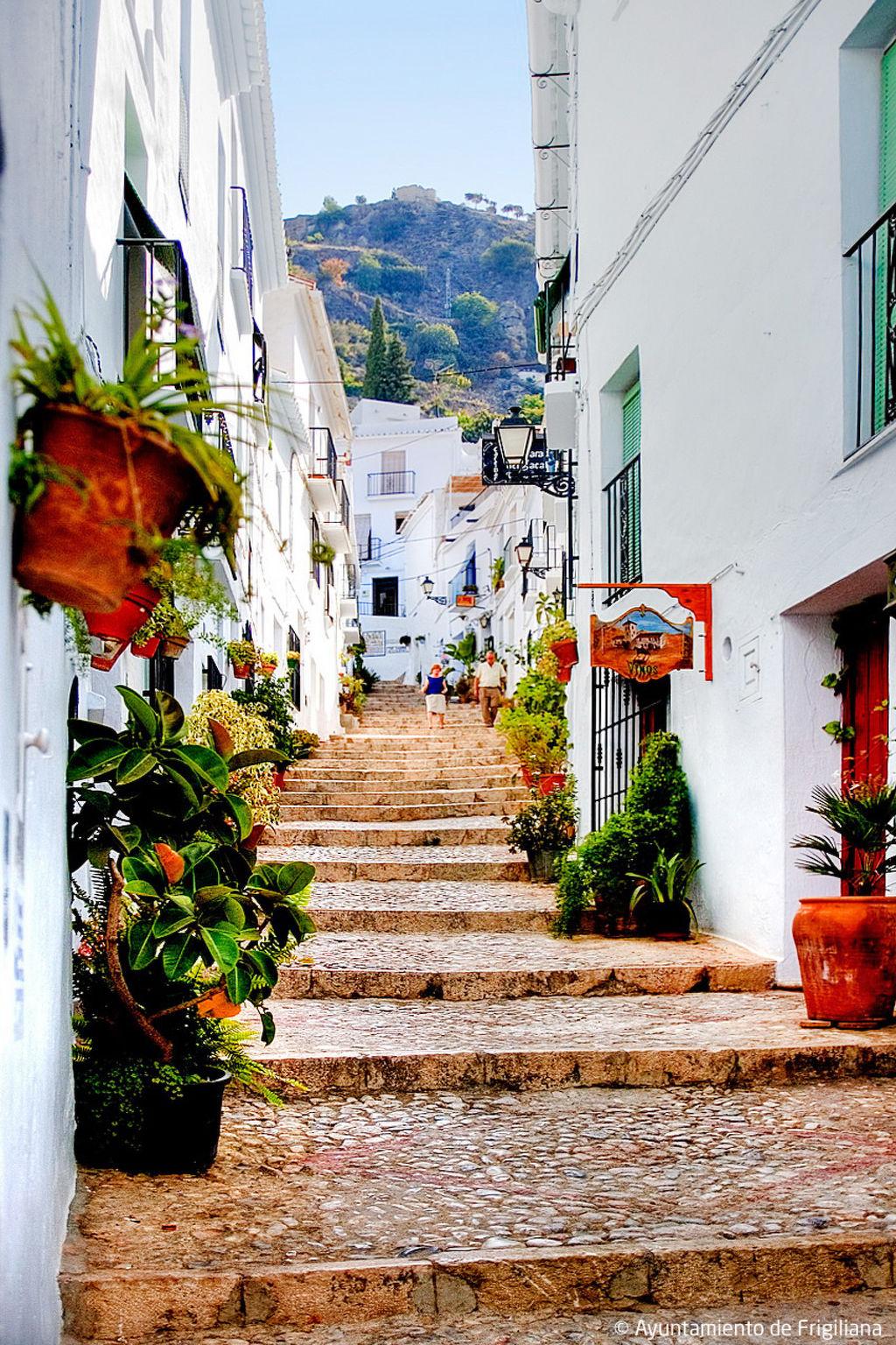 Foto 17 - Casa de 2 quartos em Frigiliana com piscina privada e terraço