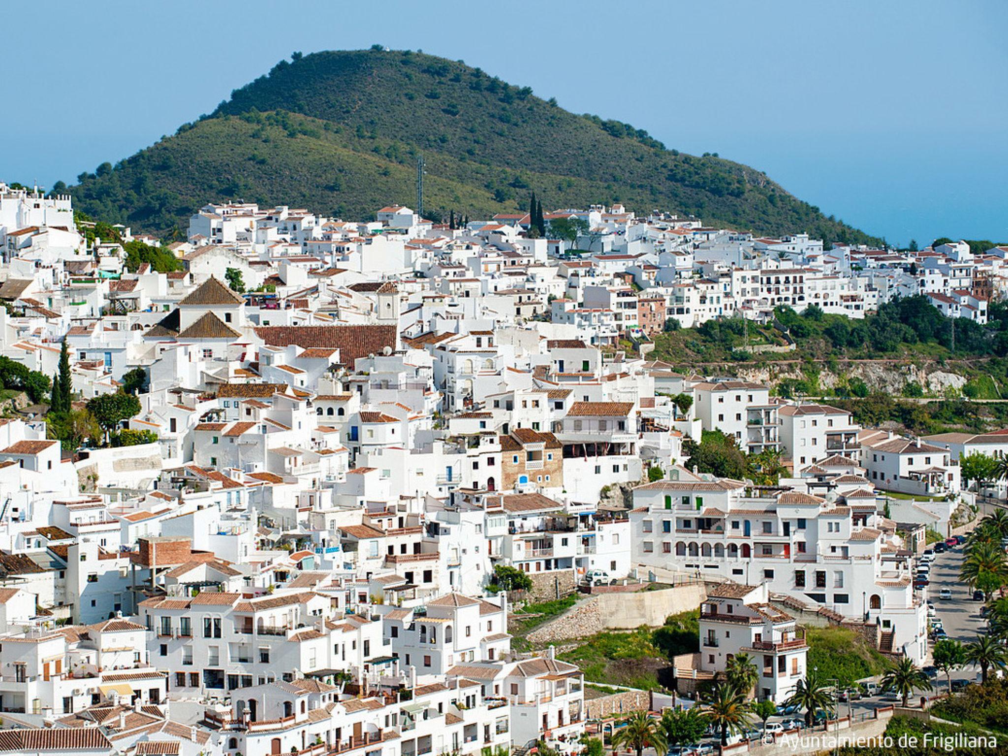 Photo 18 - 2 bedroom House in Frigiliana with private pool and garden