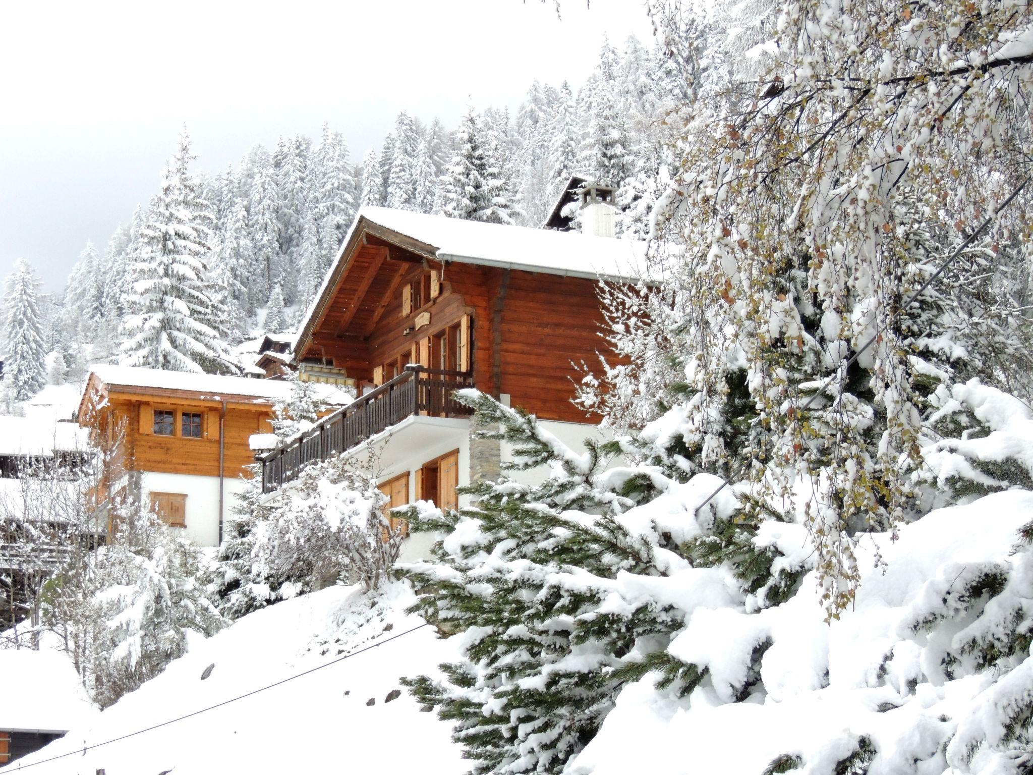 Photo 25 - Maison de 3 chambres à Anniviers avec terrasse et vues sur la montagne