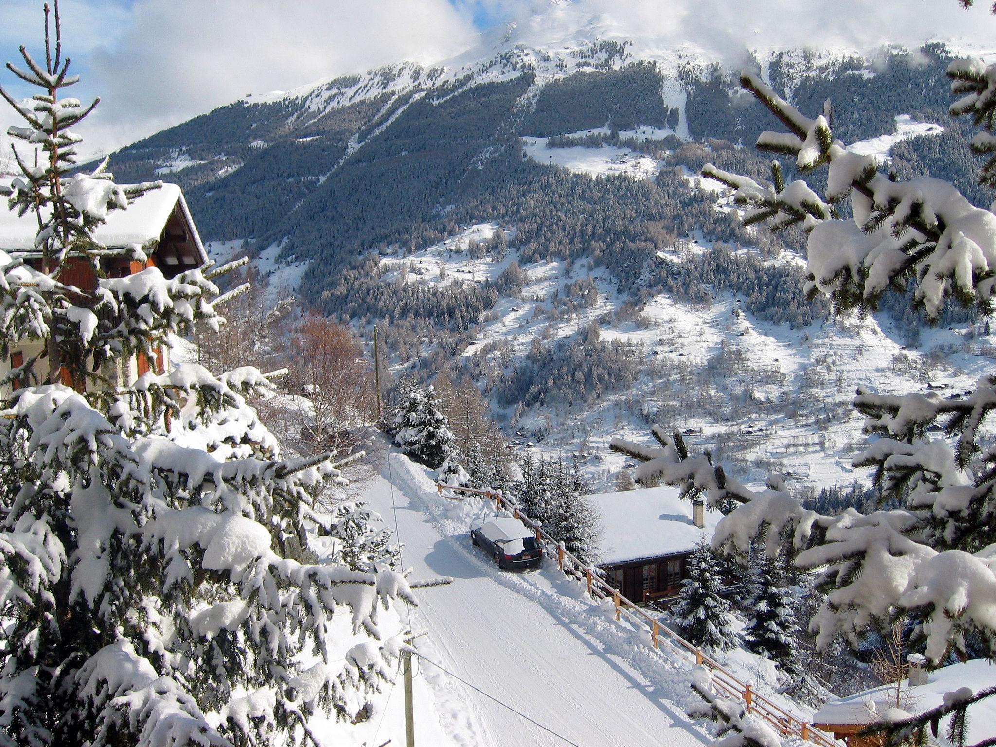 Photo 29 - Maison de 3 chambres à Anniviers avec terrasse et vues sur la montagne