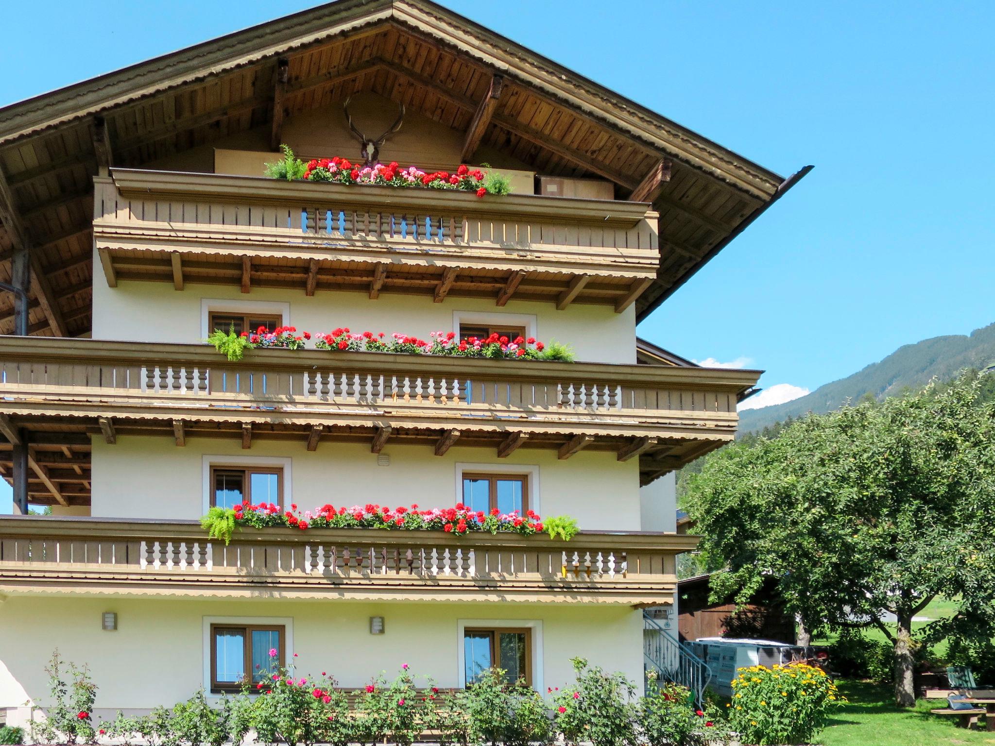 Photo 14 - Appartement de 2 chambres à Hart im Zillertal avec jardin et vues sur la montagne