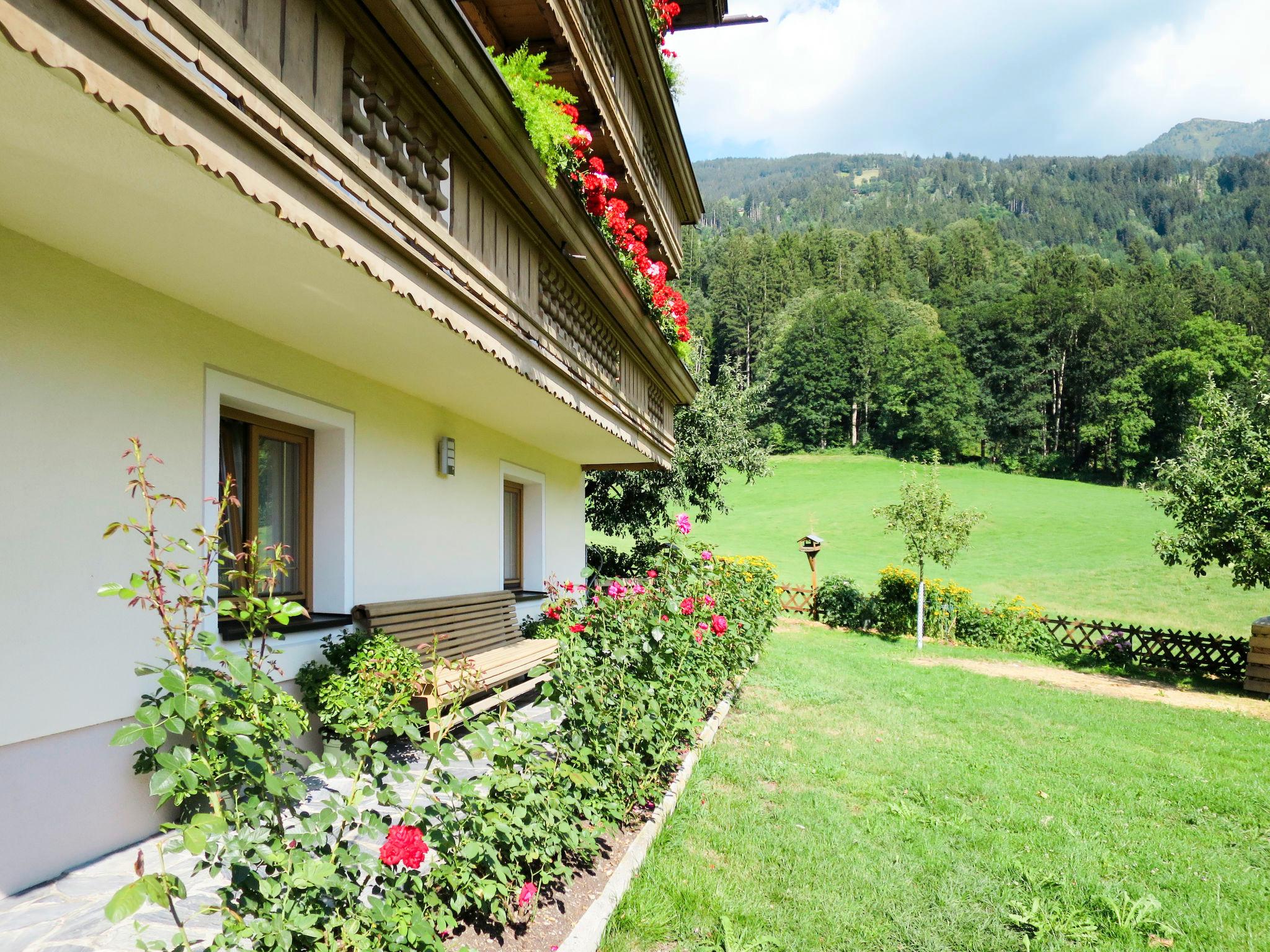 Foto 12 - Apartamento de 2 habitaciones en Hart im Zillertal con jardín y vistas a la montaña