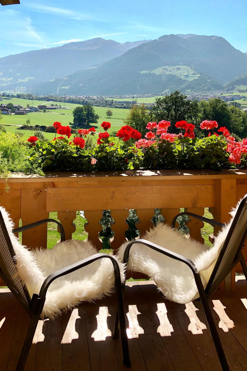 Foto 3 - Appartamento con 2 camere da letto a Hart im Zillertal con giardino e vista sulle montagne