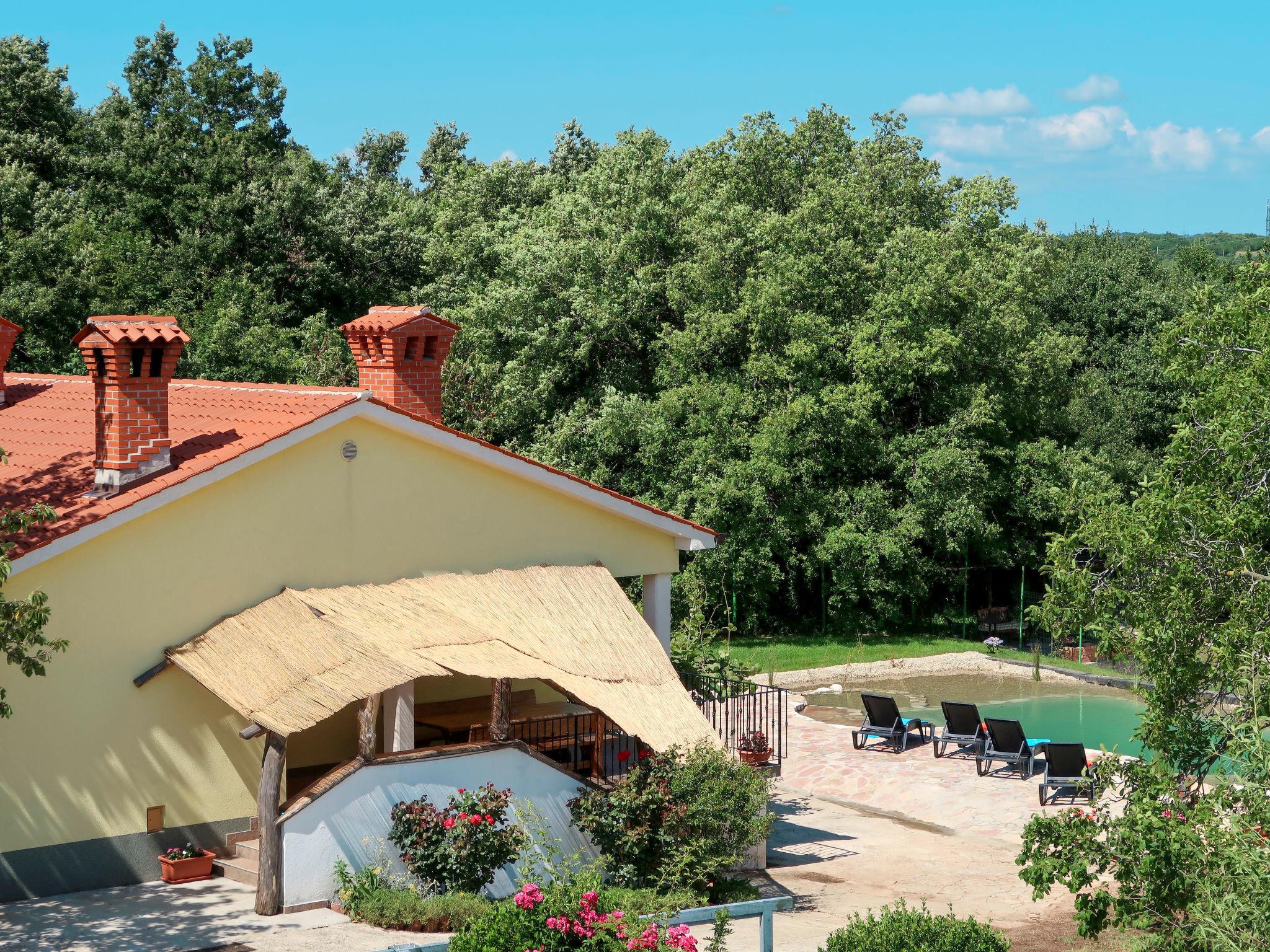 Photo 31 - Maison de 3 chambres à Sveta Nedelja avec piscine privée et vues à la mer