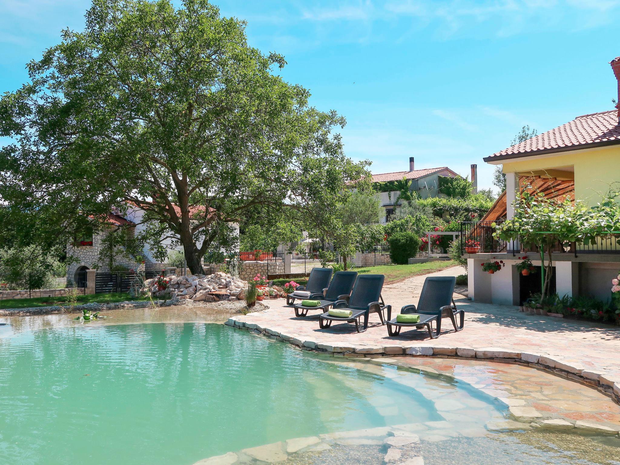 Photo 24 - Maison de 3 chambres à Sveta Nedelja avec piscine privée et jardin