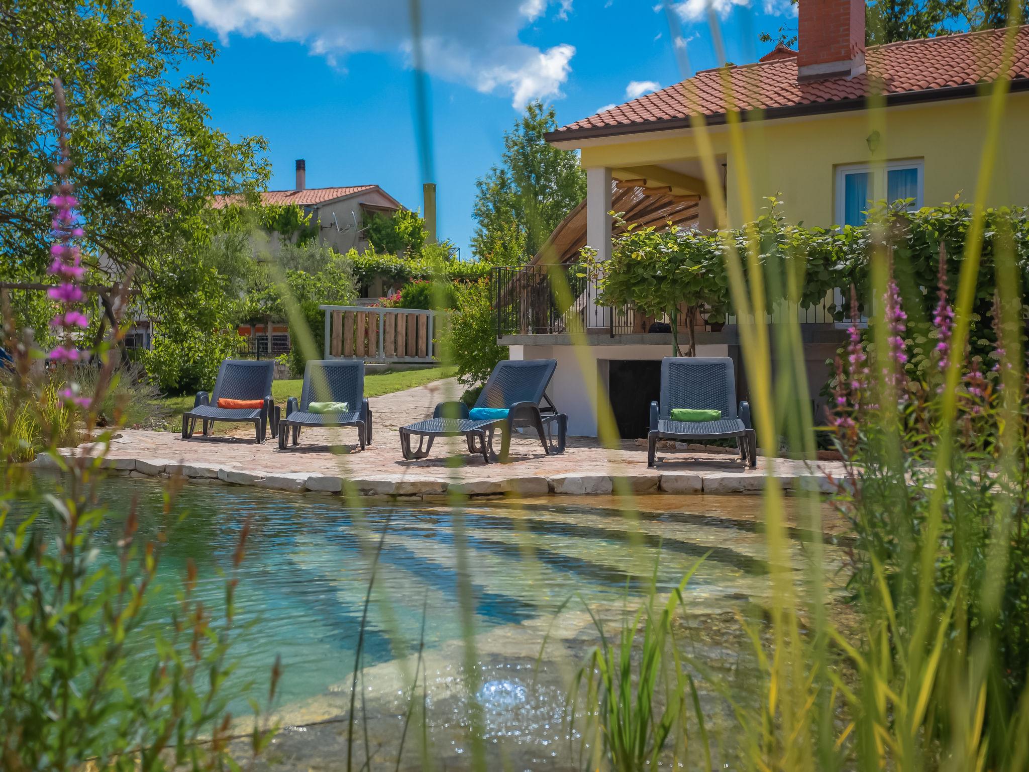 Photo 2 - Maison de 3 chambres à Sveta Nedelja avec piscine privée et vues à la mer