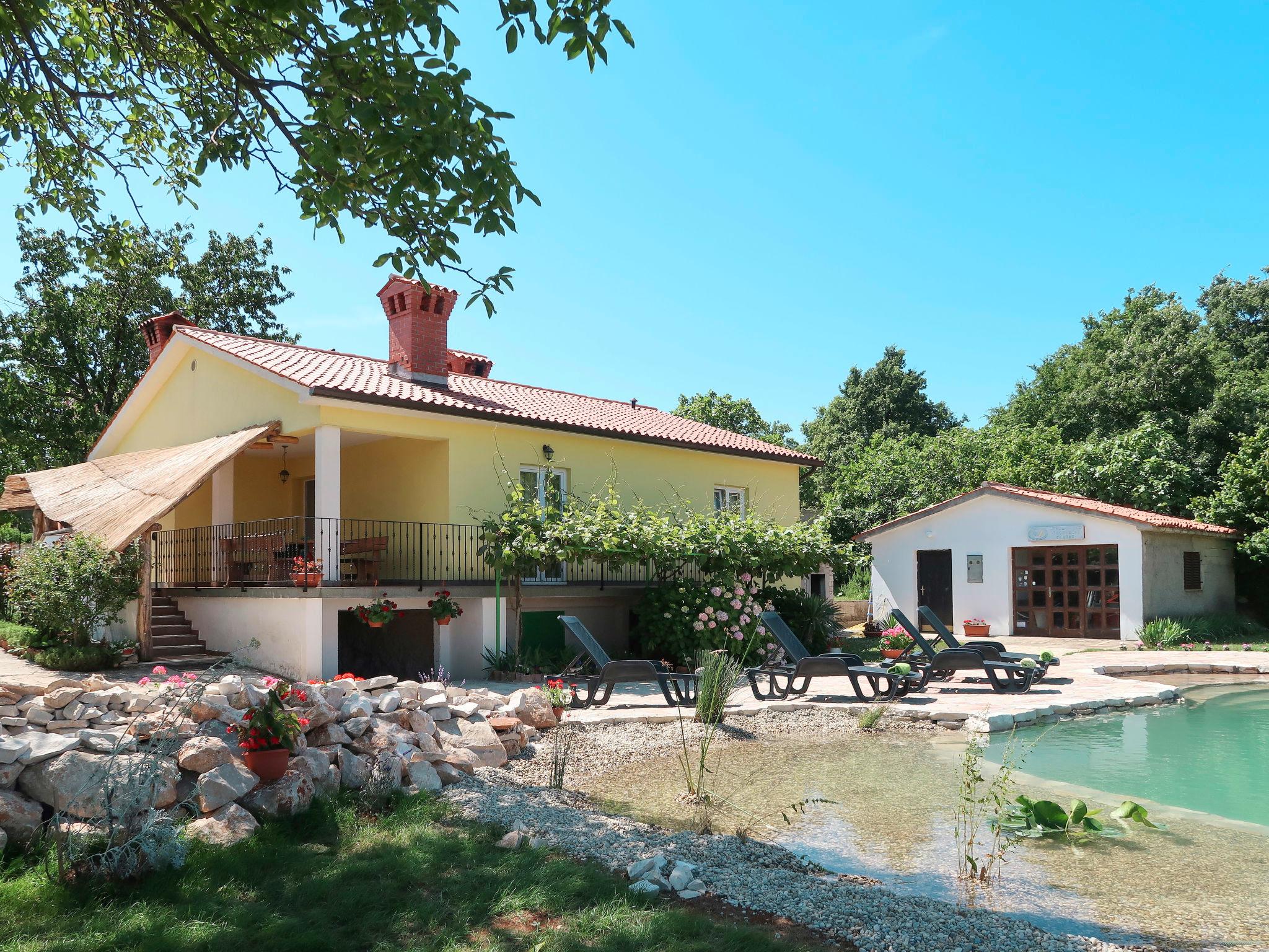 Photo 29 - Maison de 3 chambres à Sveta Nedelja avec piscine privée et vues à la mer