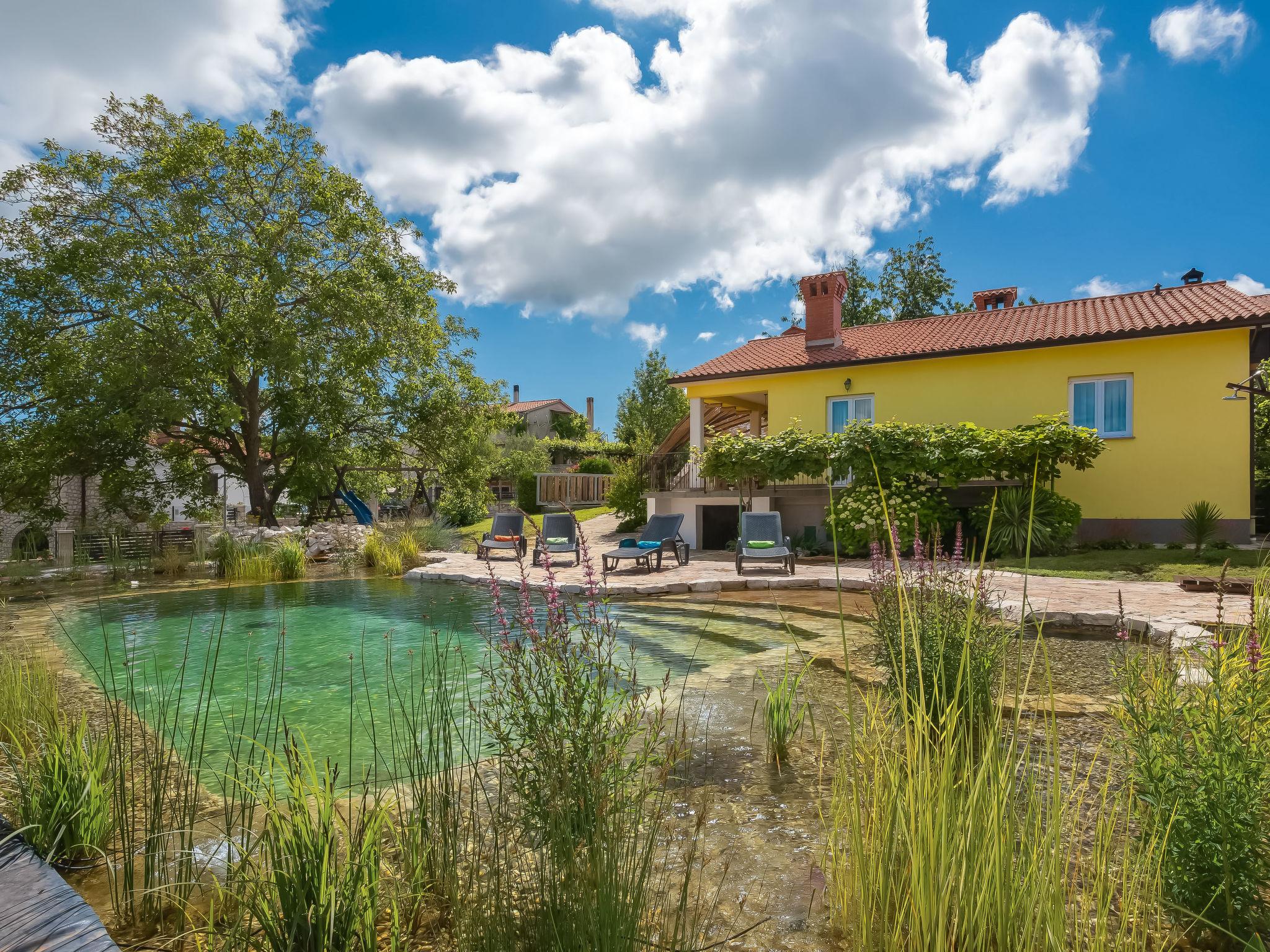 Foto 10 - Casa con 3 camere da letto a Sveta Nedelja con piscina privata e giardino