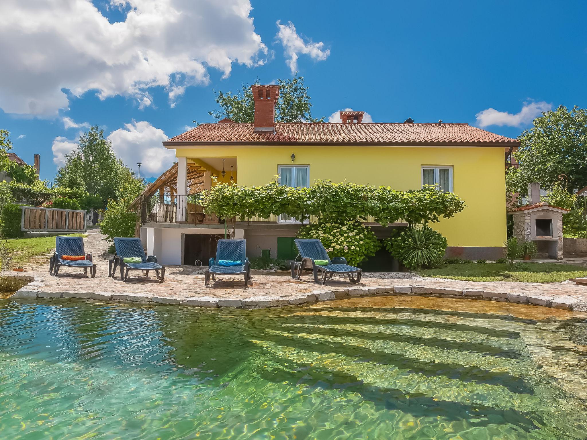 Photo 1 - Maison de 3 chambres à Sveta Nedelja avec piscine privée et vues à la mer