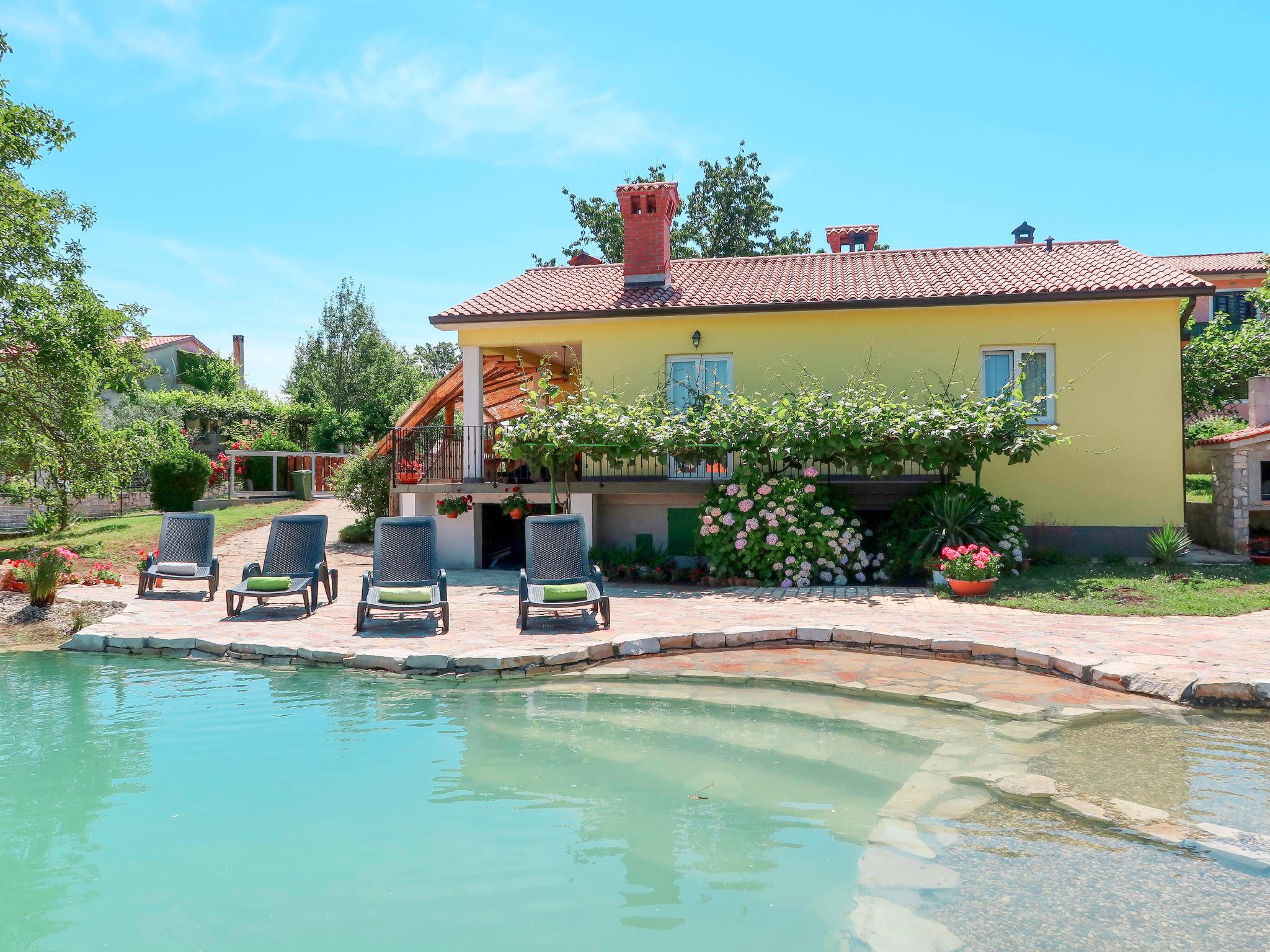 Photo 30 - Maison de 3 chambres à Sveta Nedelja avec piscine privée et jardin