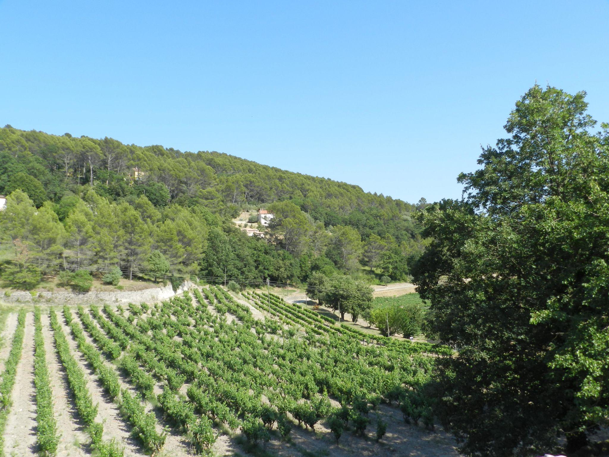 Foto 34 - Casa de 4 quartos em Draguignan com piscina e terraço