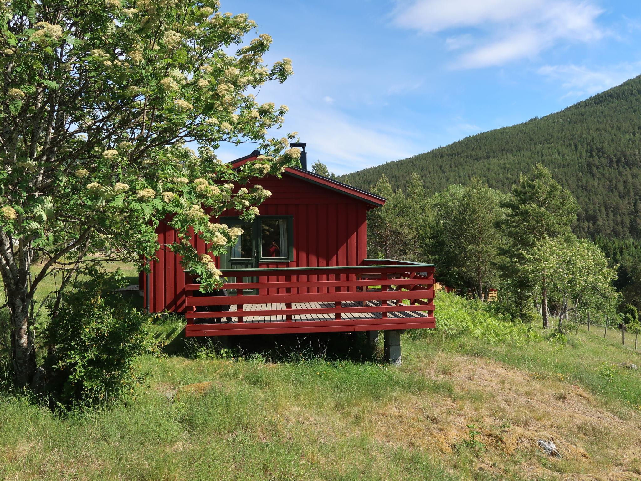 Photo 2 - Maison de 2 chambres à Kaupanger avec jardin et terrasse