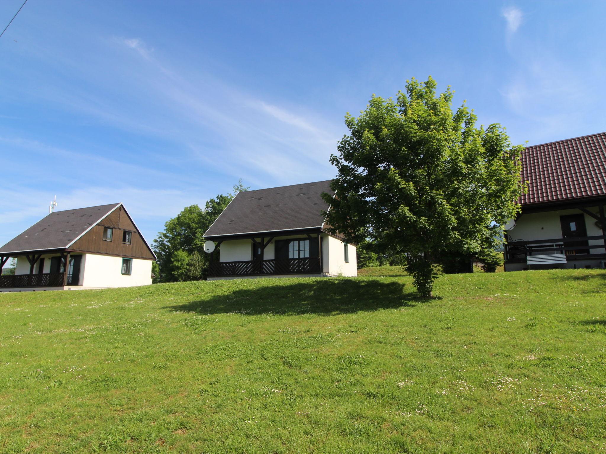 Foto 18 - Haus mit 3 Schlafzimmern in Černý Důl mit schwimmbad und garten