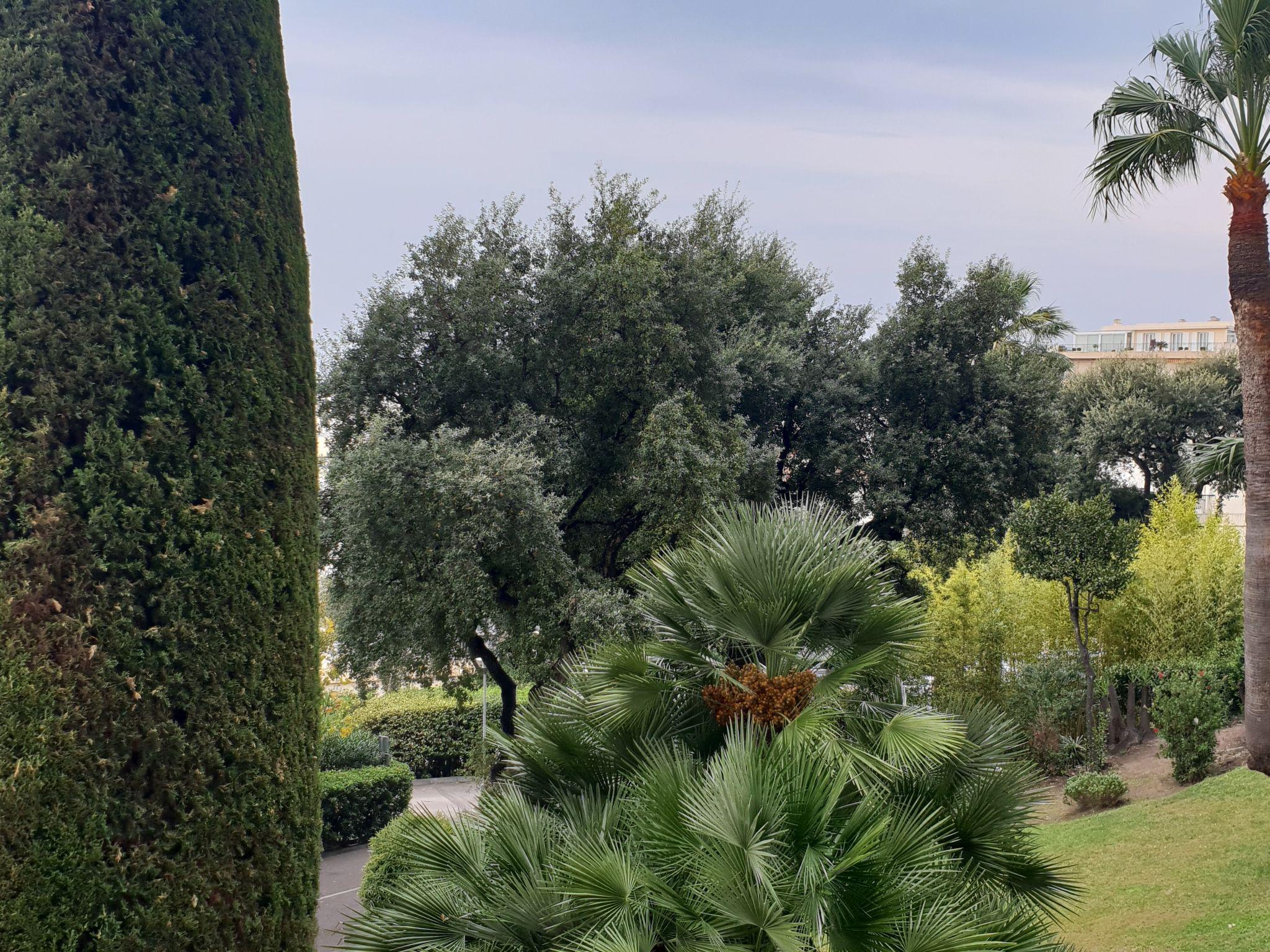 Foto 14 - Apartamento de 2 quartos em Cannes com jardim e vistas do mar