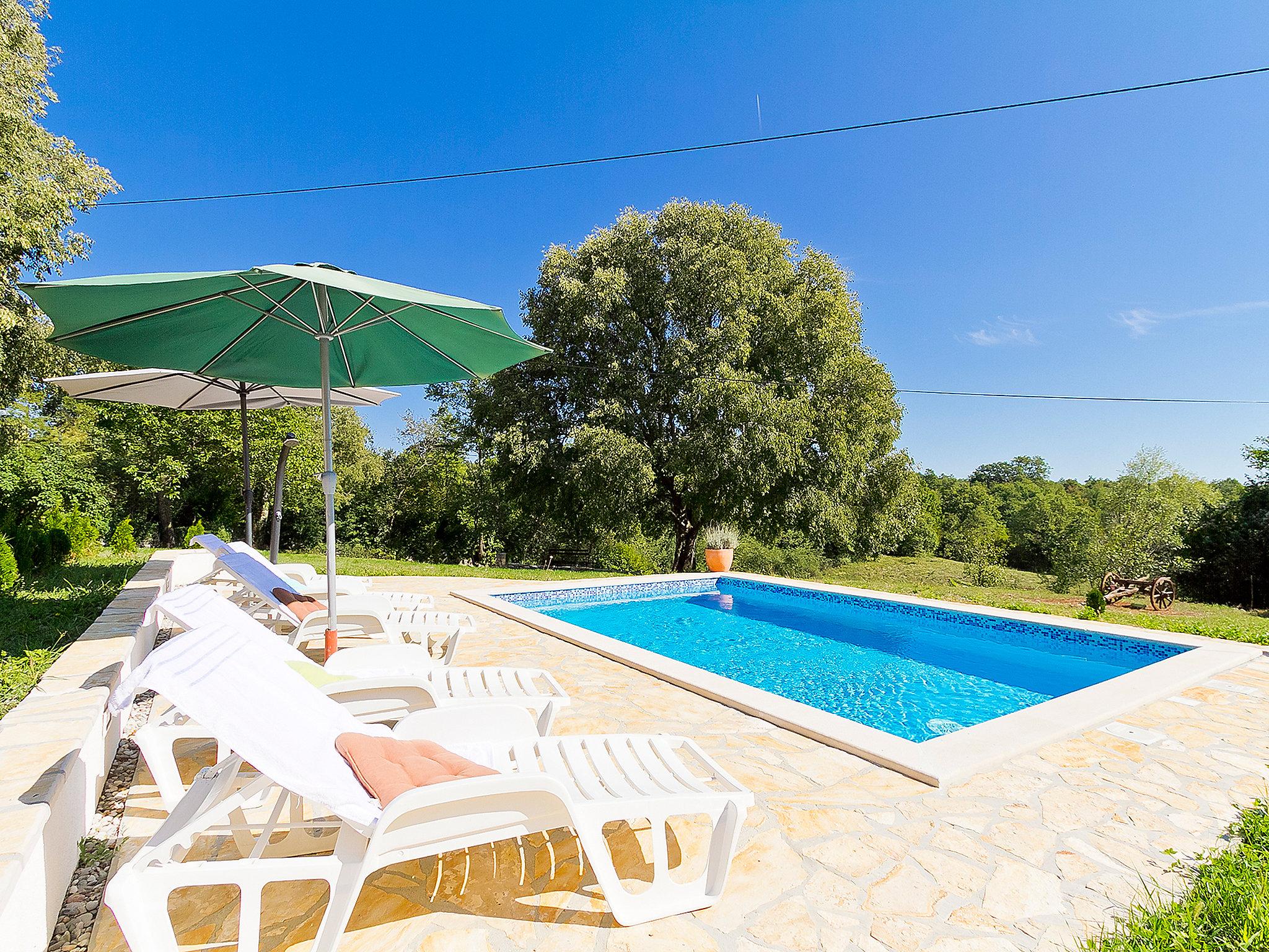 Foto 28 - Casa con 3 camere da letto a Žminj con piscina privata e giardino