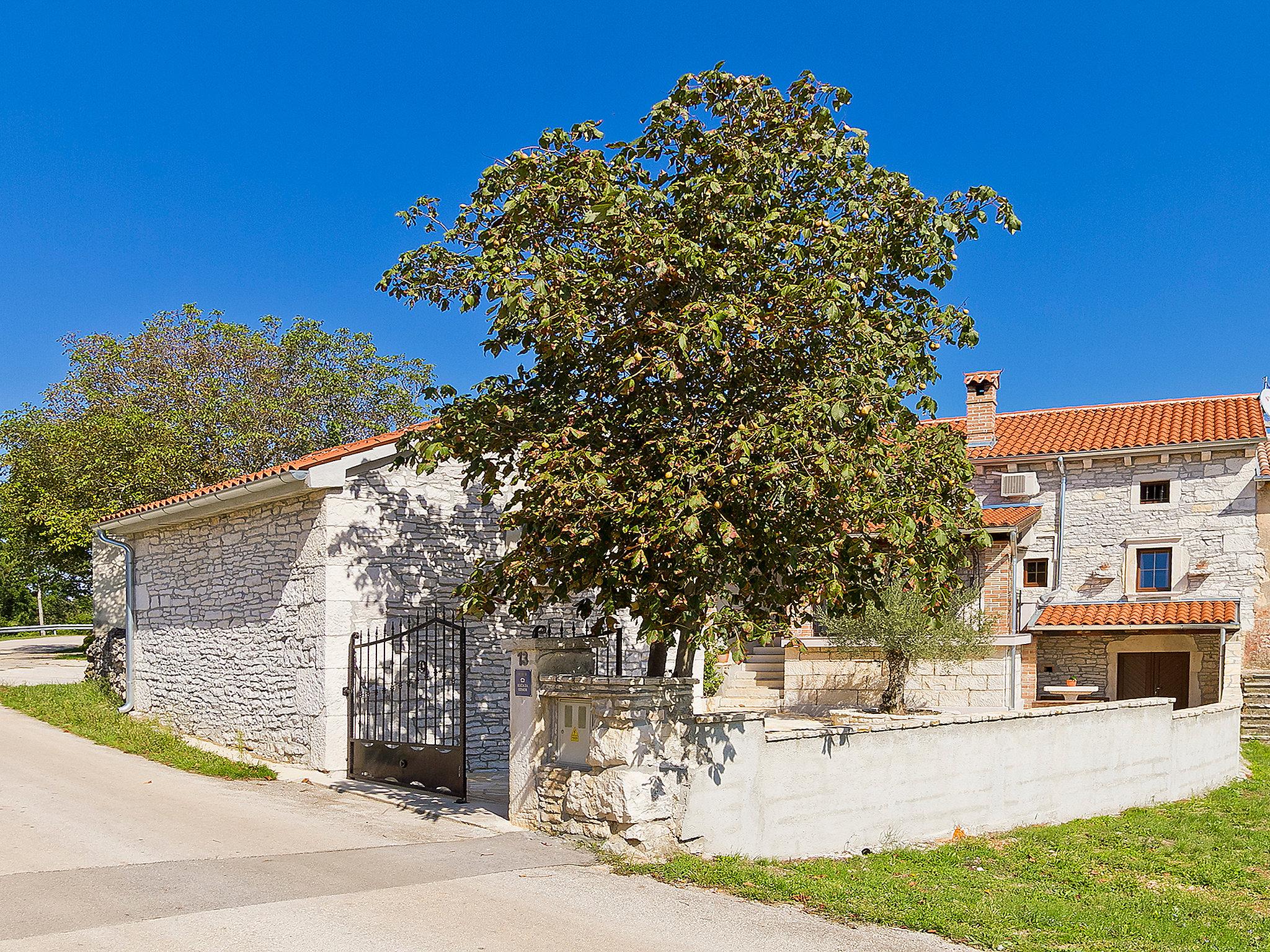 Foto 42 - Casa de 3 habitaciones en Žminj con piscina privada y jardín