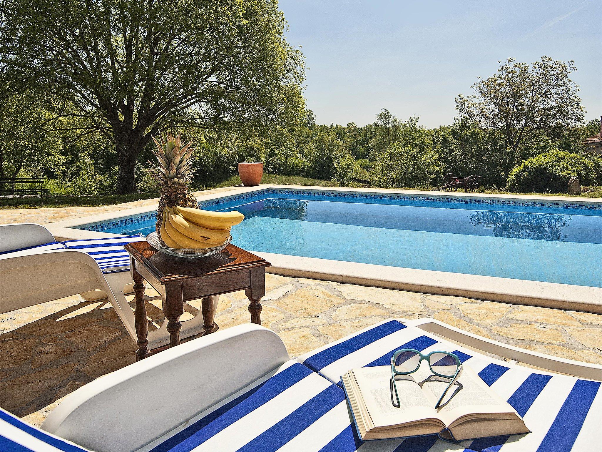 Photo 1 - Maison de 3 chambres à Žminj avec piscine privée et jardin