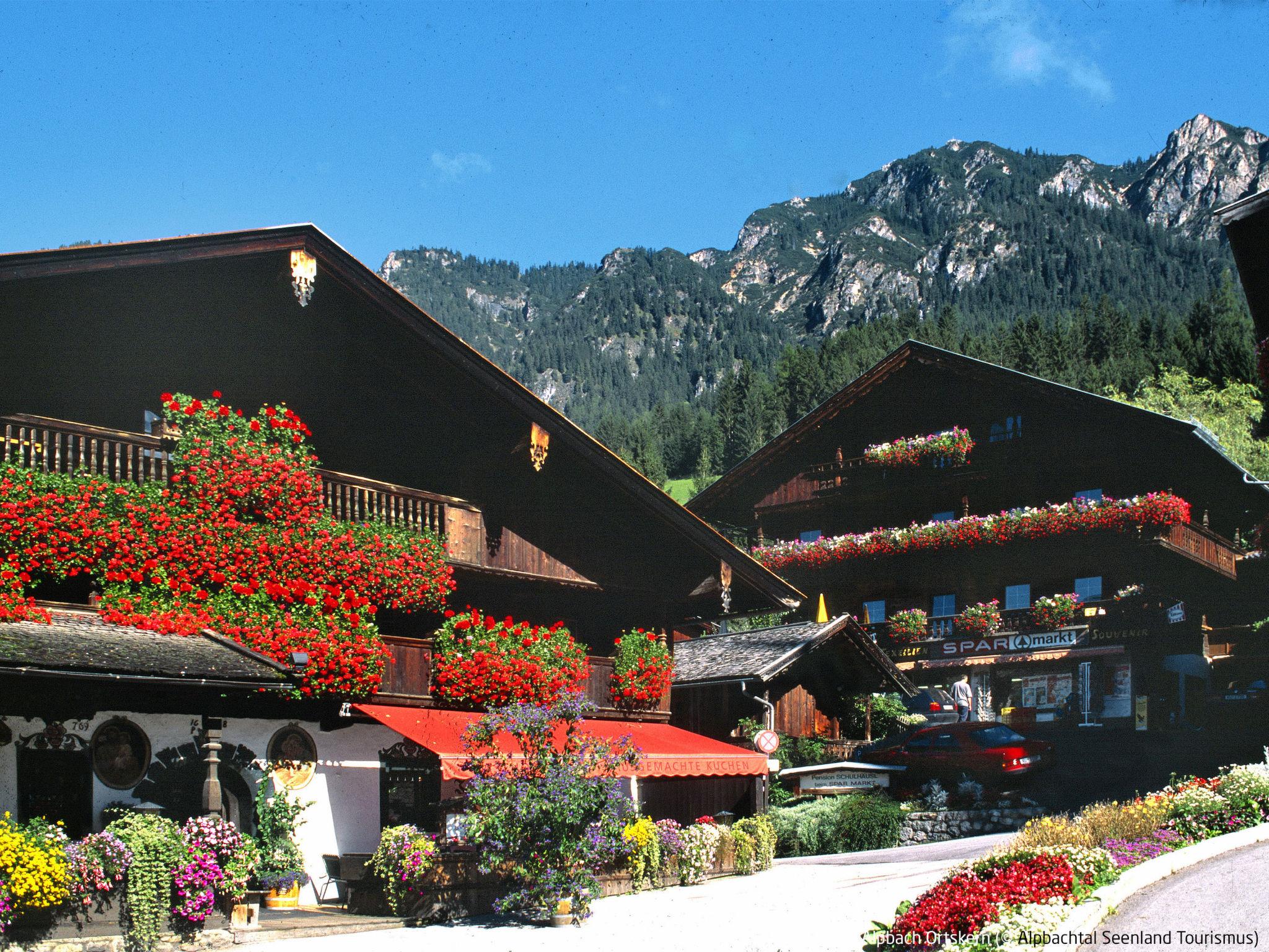 Foto 34 - Apartamento de 2 quartos em Alpbach com vista para a montanha