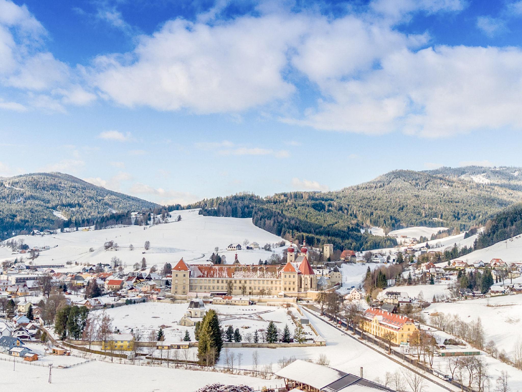 Foto 5 - Casa de 3 quartos em Sankt Lambrecht com terraço e vista para a montanha