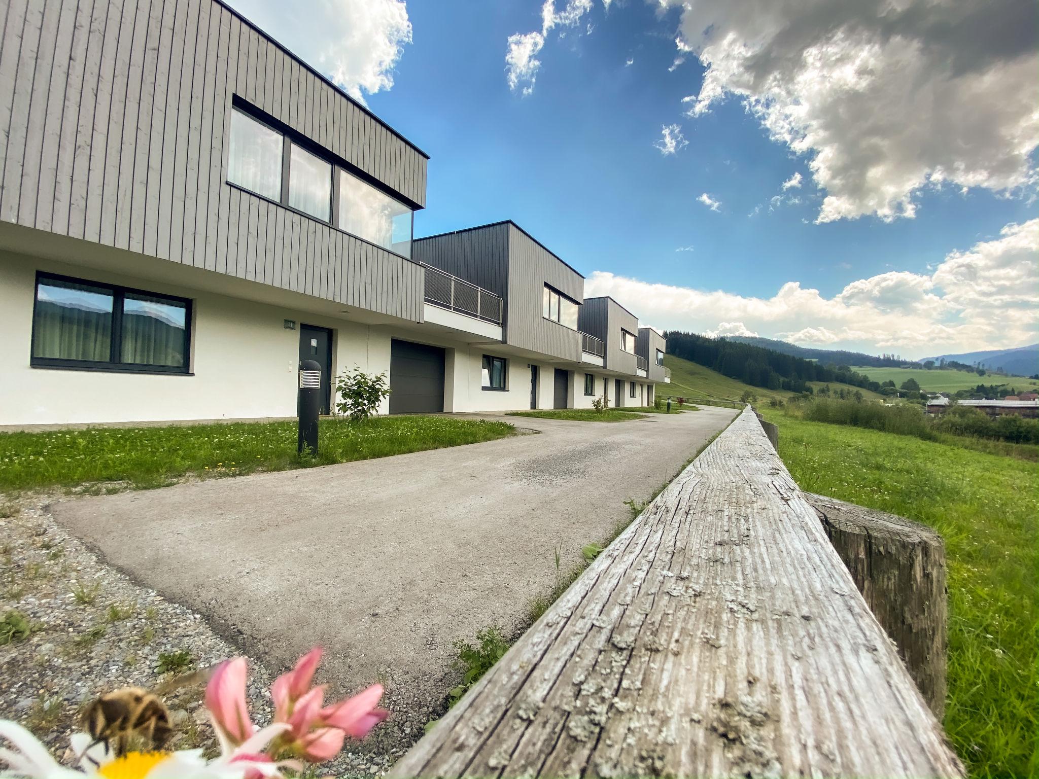 Foto 9 - Haus mit 3 Schlafzimmern in Sankt Lambrecht mit terrasse und blick auf die berge