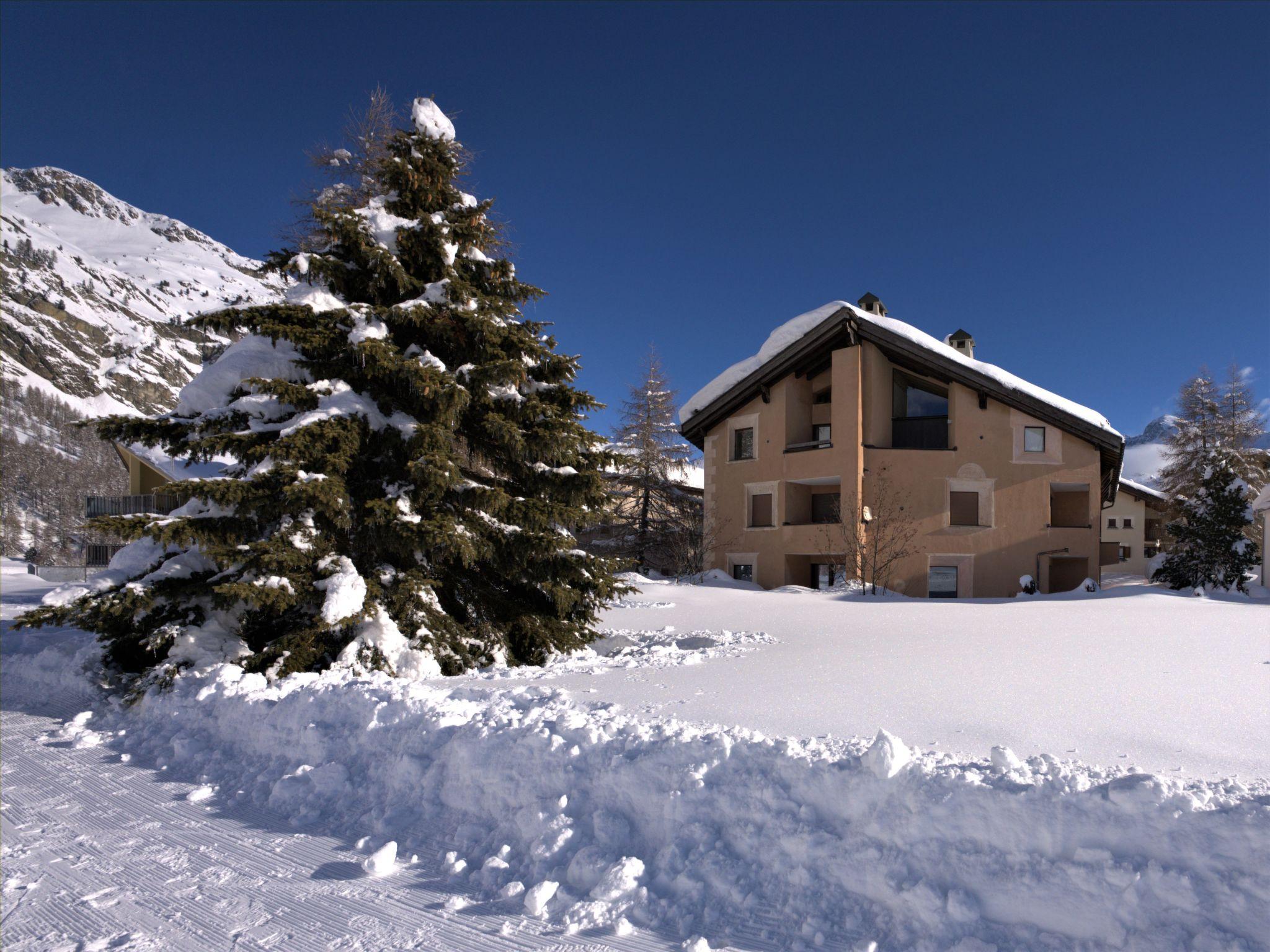 Foto 21 - Apartamento de 2 quartos em Sils im Engadin/Segl com vista para a montanha