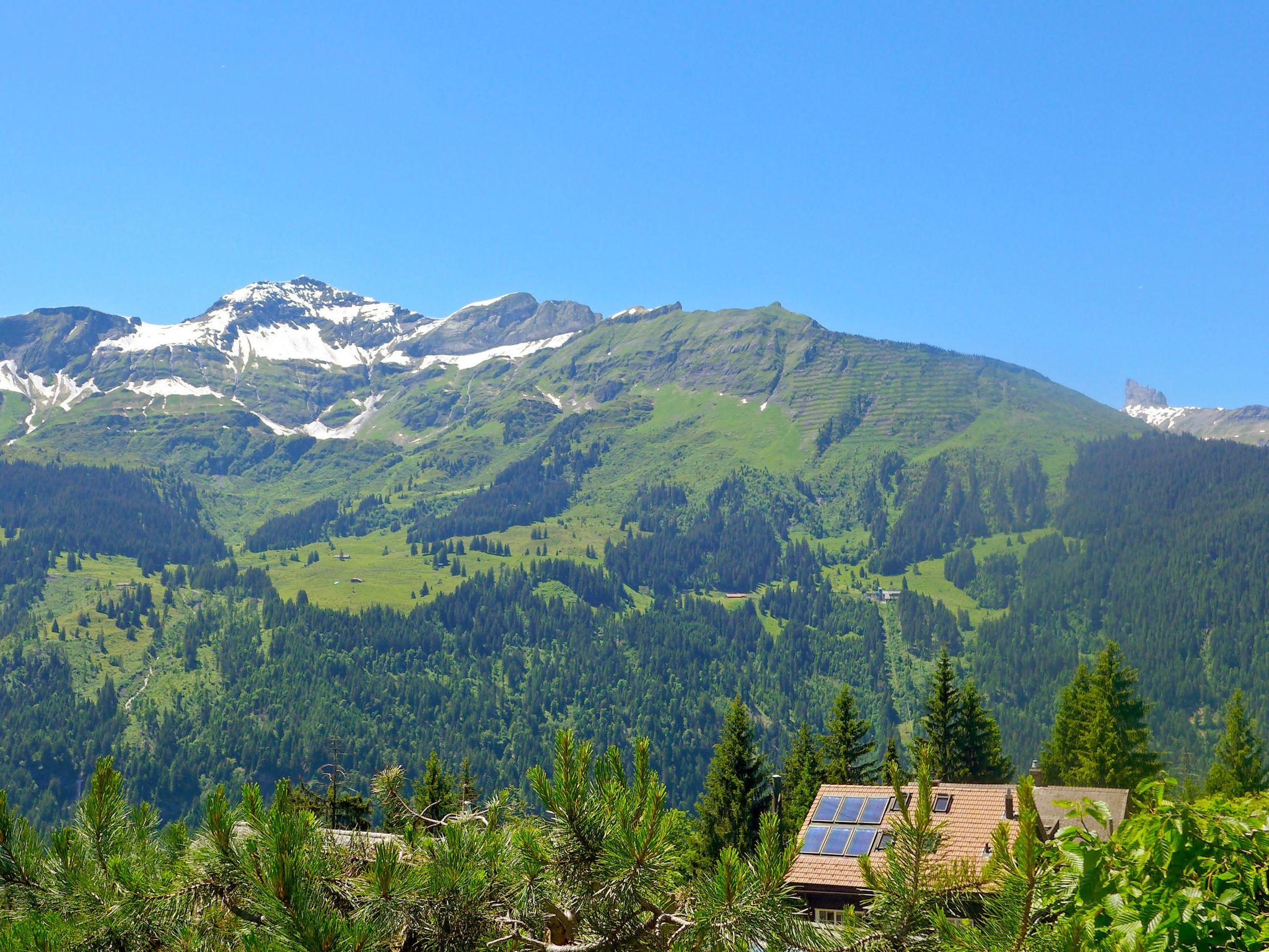 Photo 20 - 2 bedroom House in Lauterbrunnen with garden and terrace