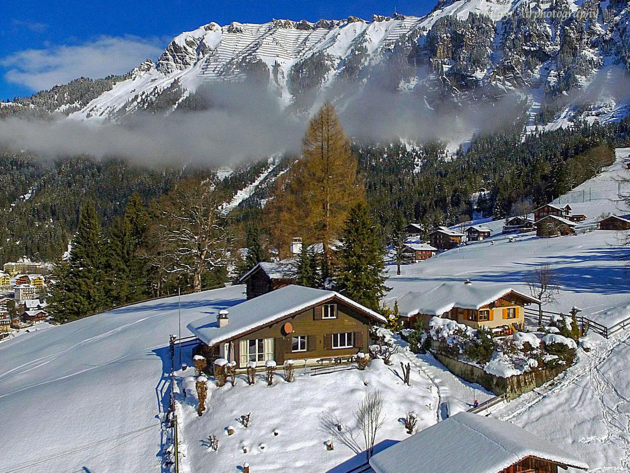 Photo 25 - 2 bedroom House in Lauterbrunnen with garden and terrace