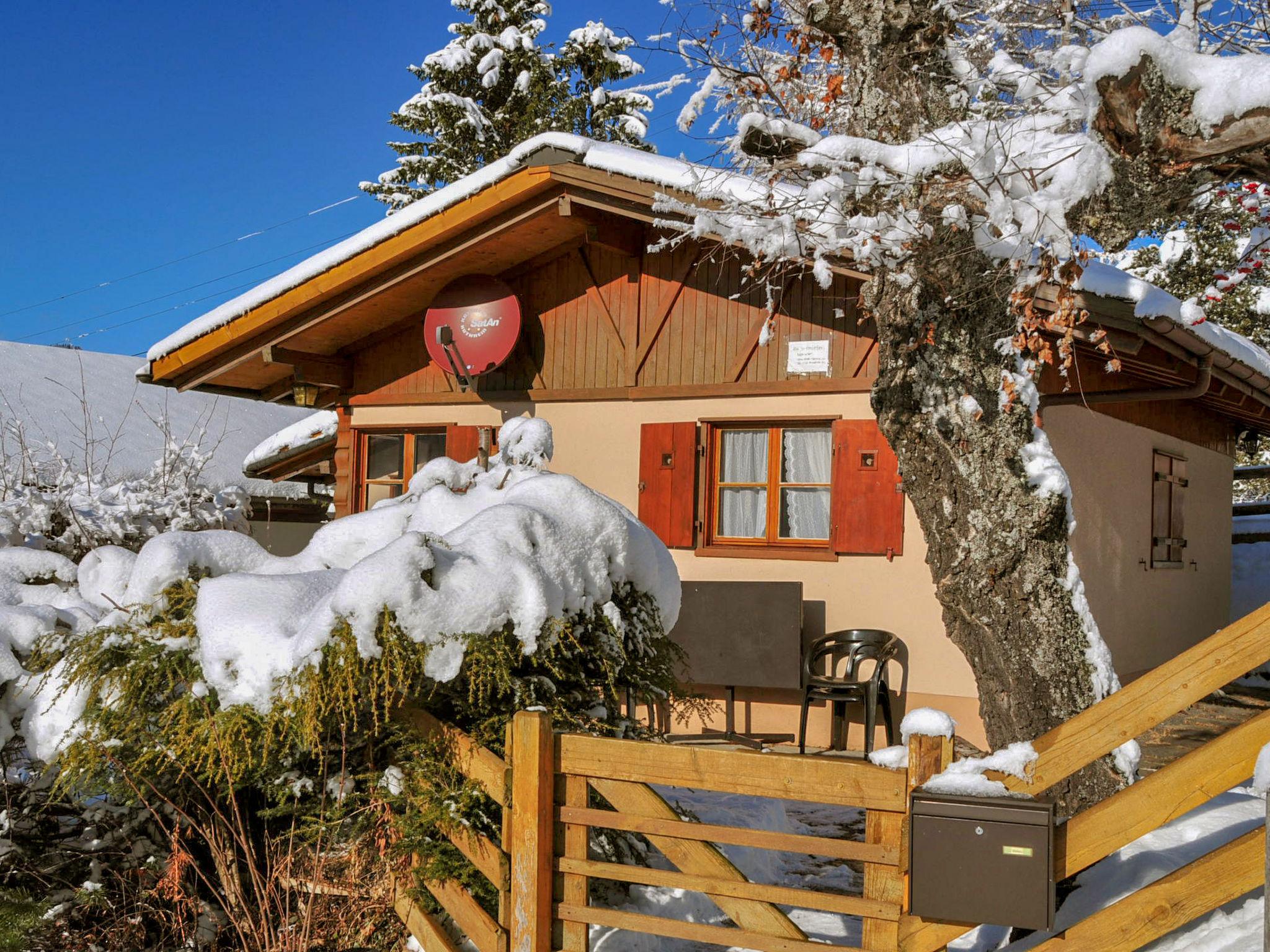 Foto 18 - Casa de 2 quartos em Lauterbrunnen com terraço e vista para a montanha