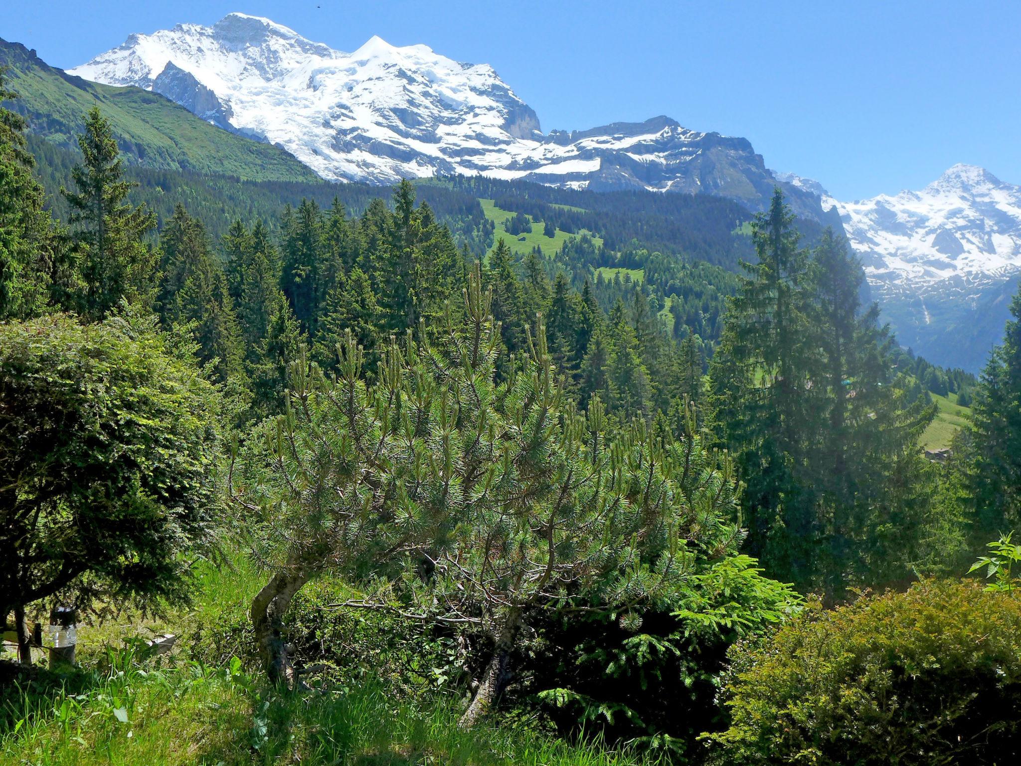 Foto 23 - Casa de 2 quartos em Lauterbrunnen com jardim e terraço