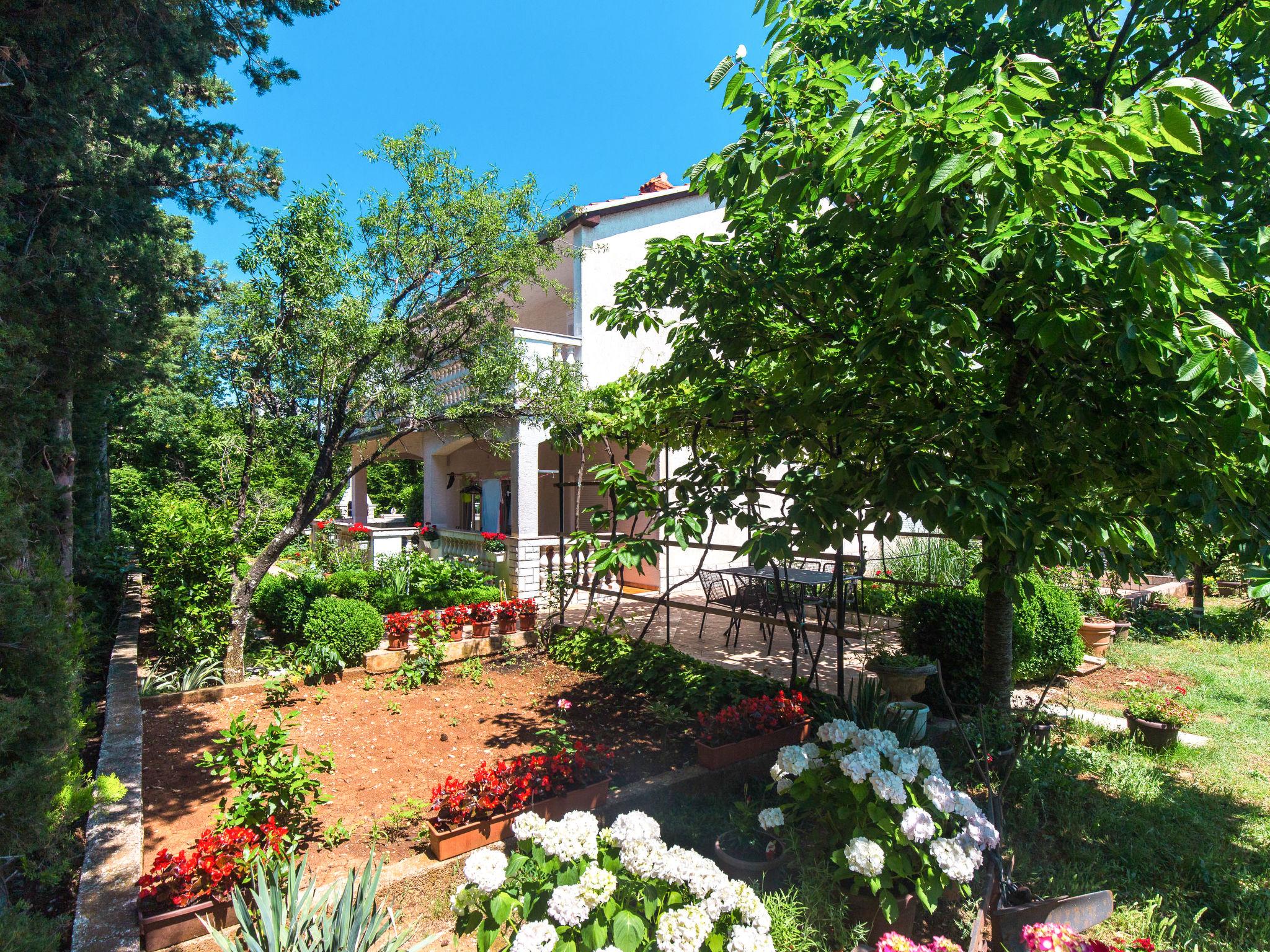 Photo 2 - Maison de 5 chambres à Crikvenica avec jardin et terrasse