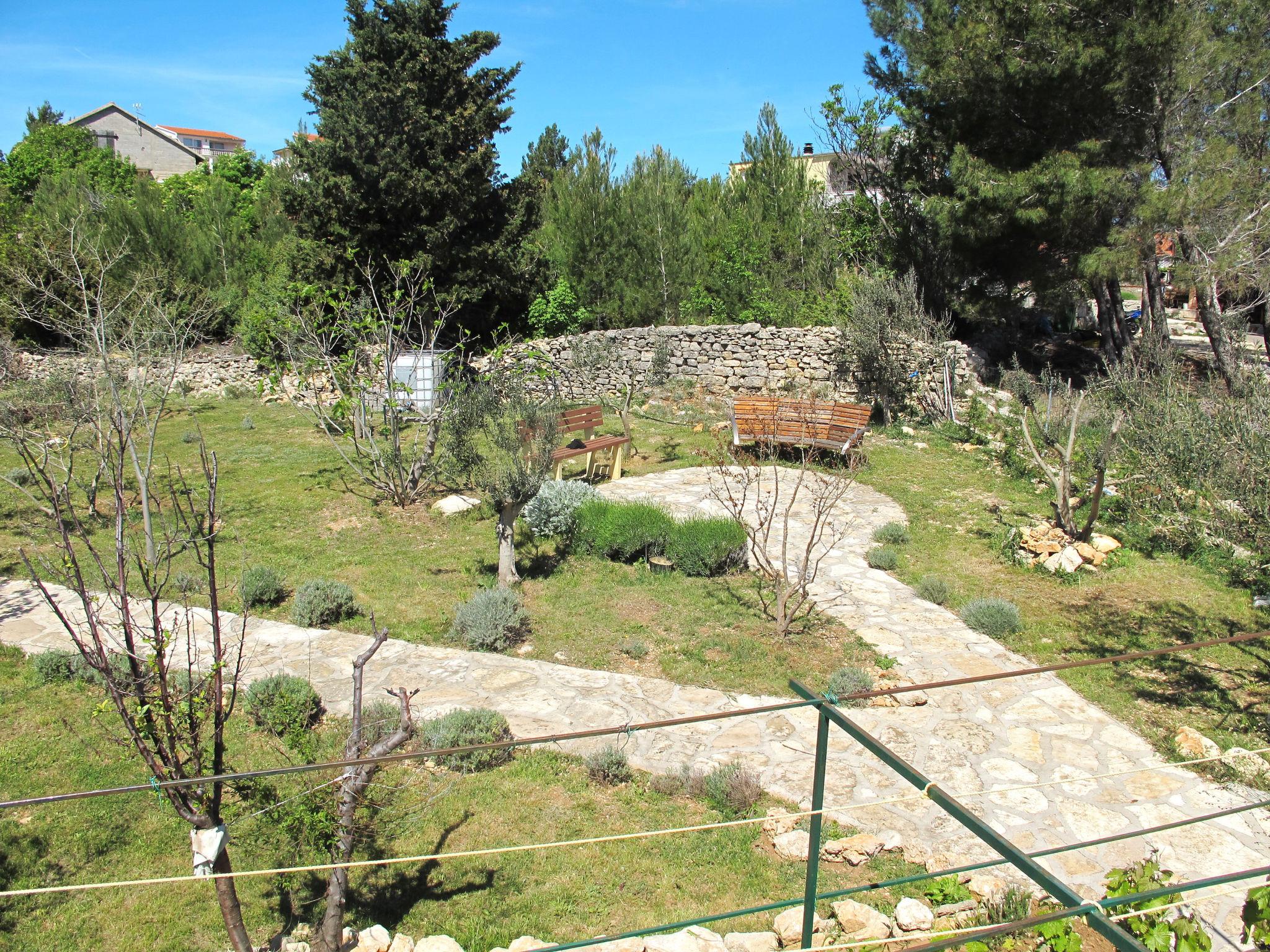 Photo 11 - Appartement de 1 chambre à Novigrad avec jardin et terrasse