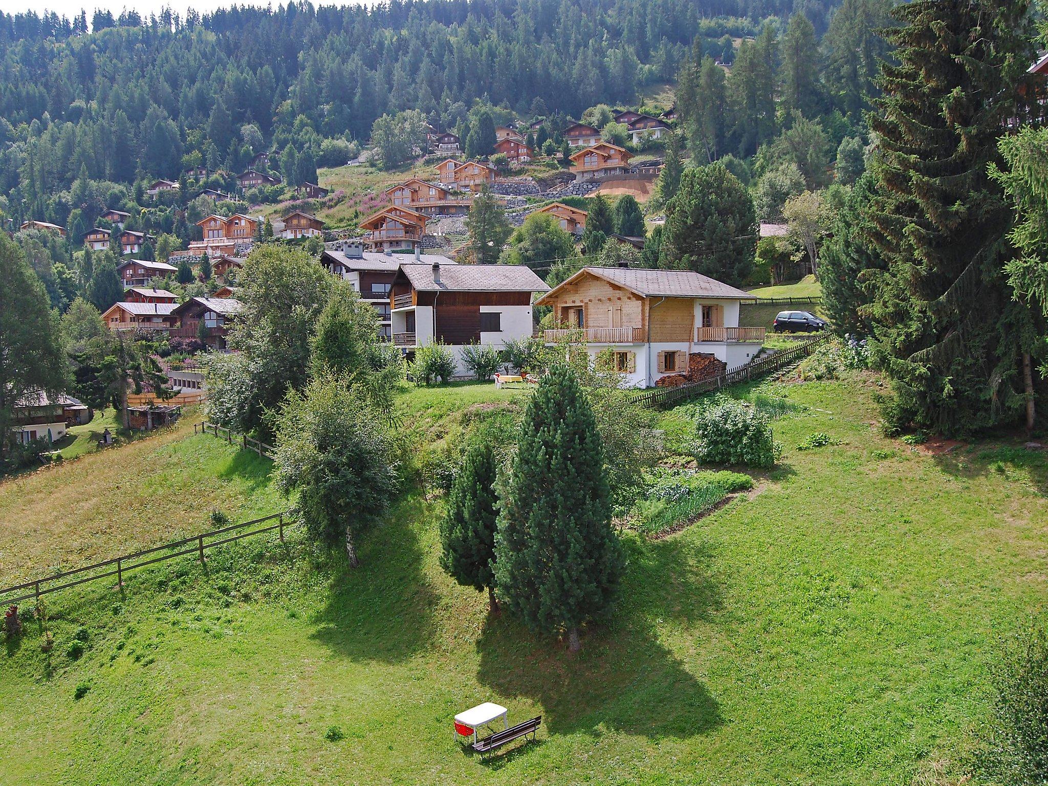 Foto 17 - Apartamento de 3 habitaciones en Nendaz con terraza y vistas a la montaña