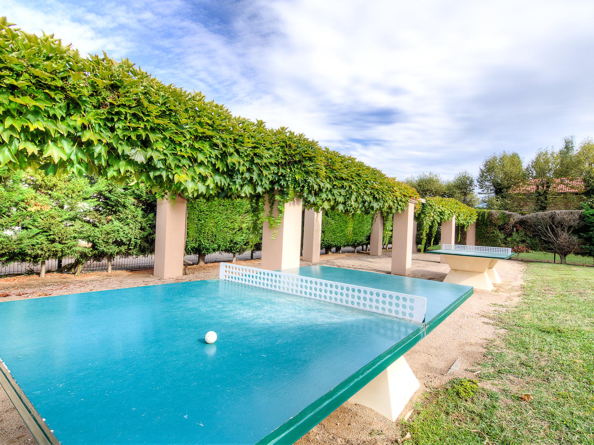 Photo 17 - Appartement de 2 chambres à Saint-Cyprien avec piscine