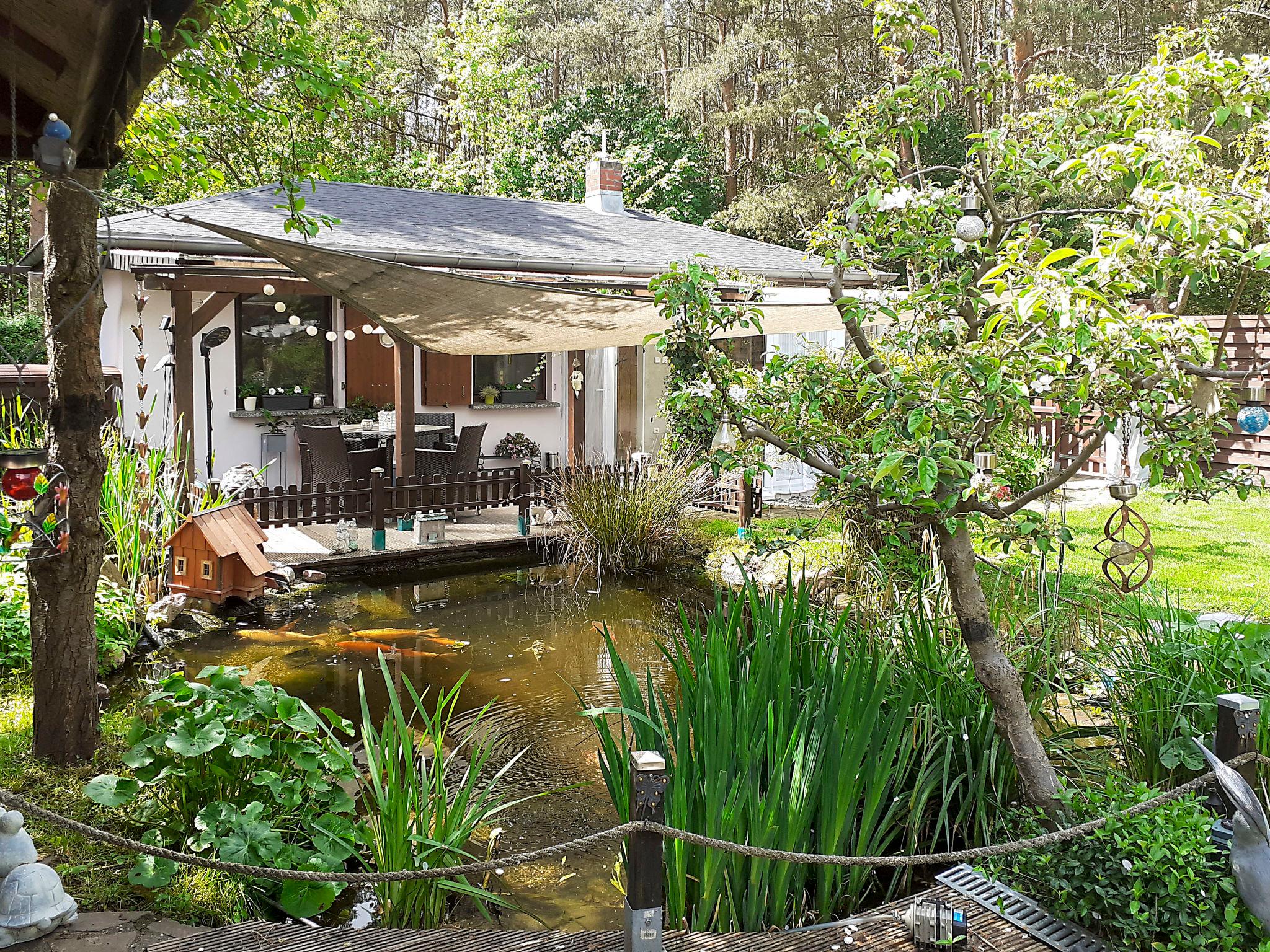 Photo 9 - Maison en Wandlitz avec jardin et terrasse