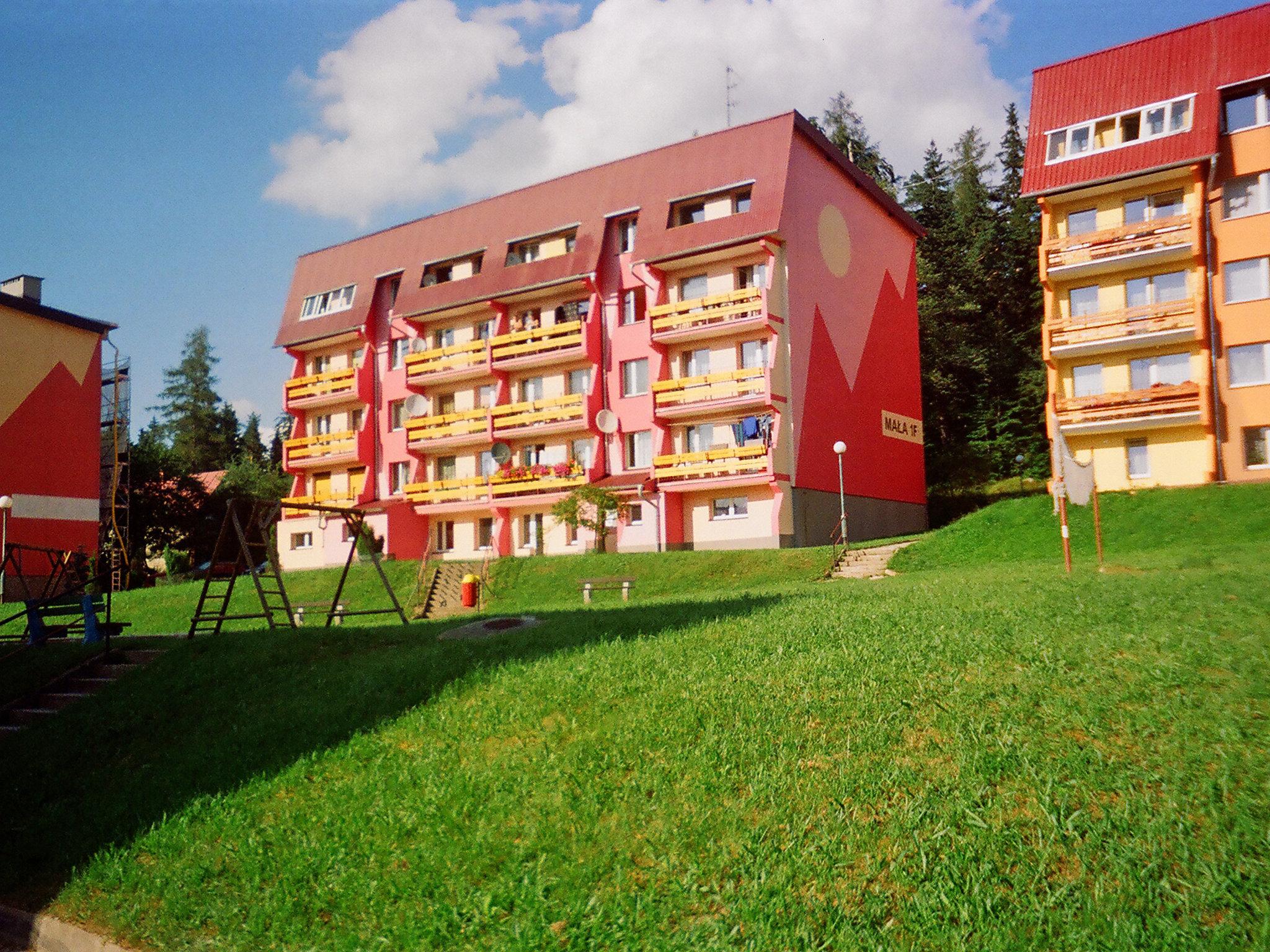 Foto 14 - Appartamento con 2 camere da letto a Szklarska Poręba con vista sulle montagne