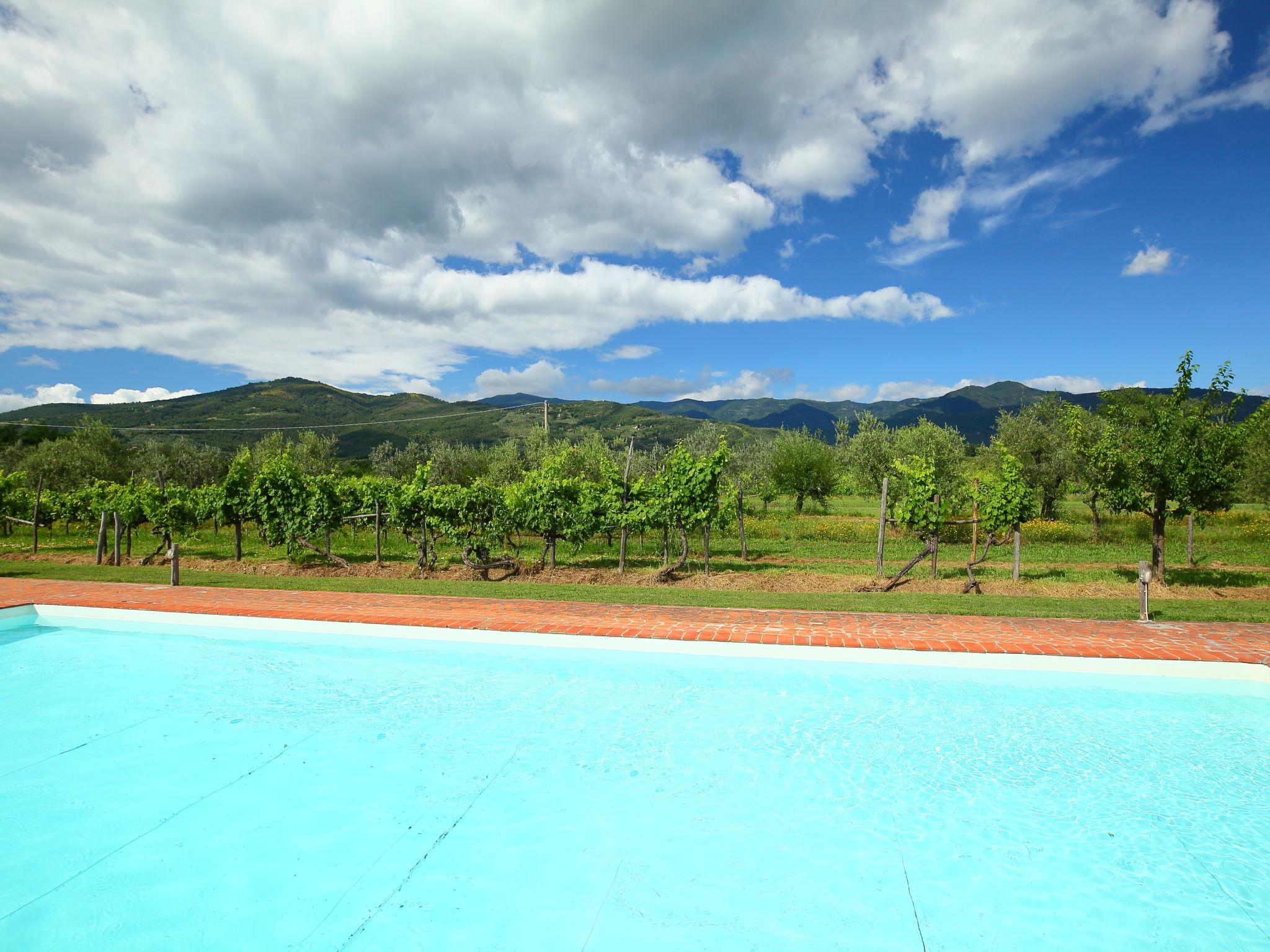 Foto 20 - Casa de 3 quartos em Terranuova Bracciolini com piscina privada e jardim