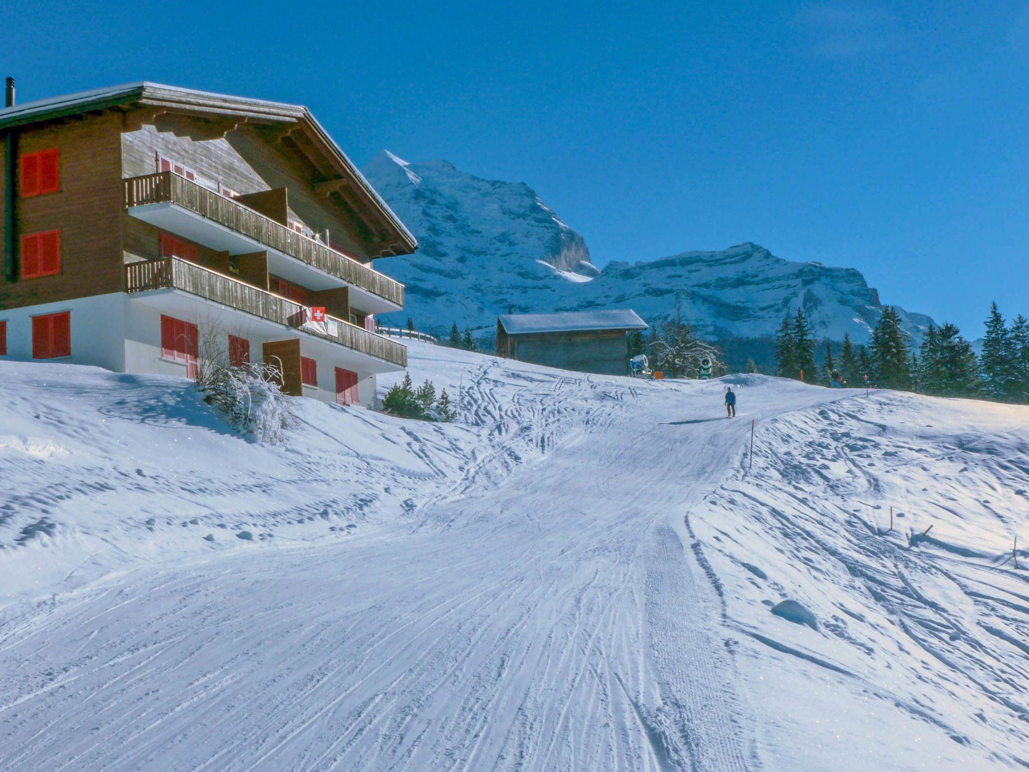 Foto 22 - Appartamento con 2 camere da letto a Lauterbrunnen con vista sulle montagne