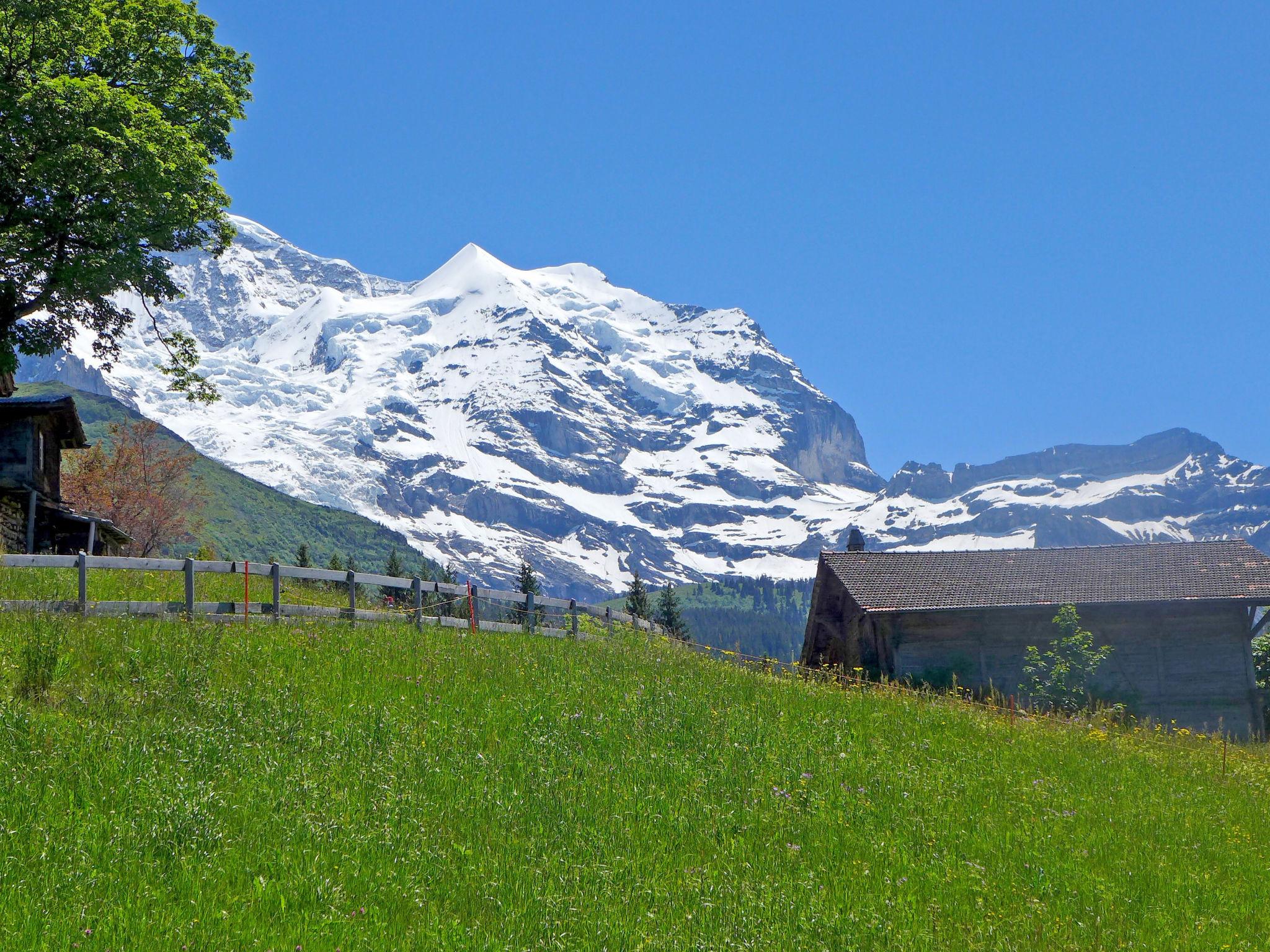 Foto 15 - Apartamento de 2 quartos em Lauterbrunnen com vista para a montanha