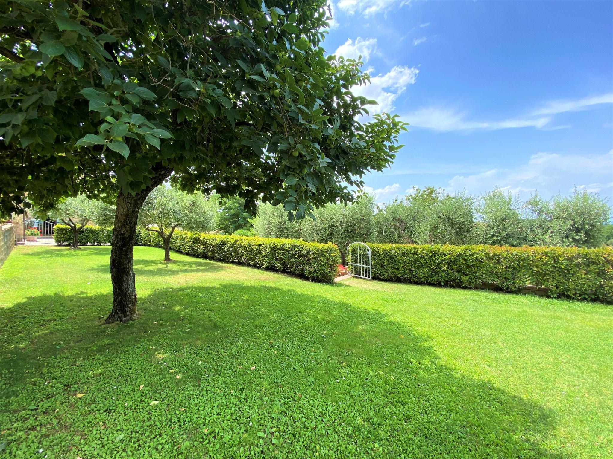 Photo 18 - 2 bedroom Apartment in Volterra with swimming pool and terrace