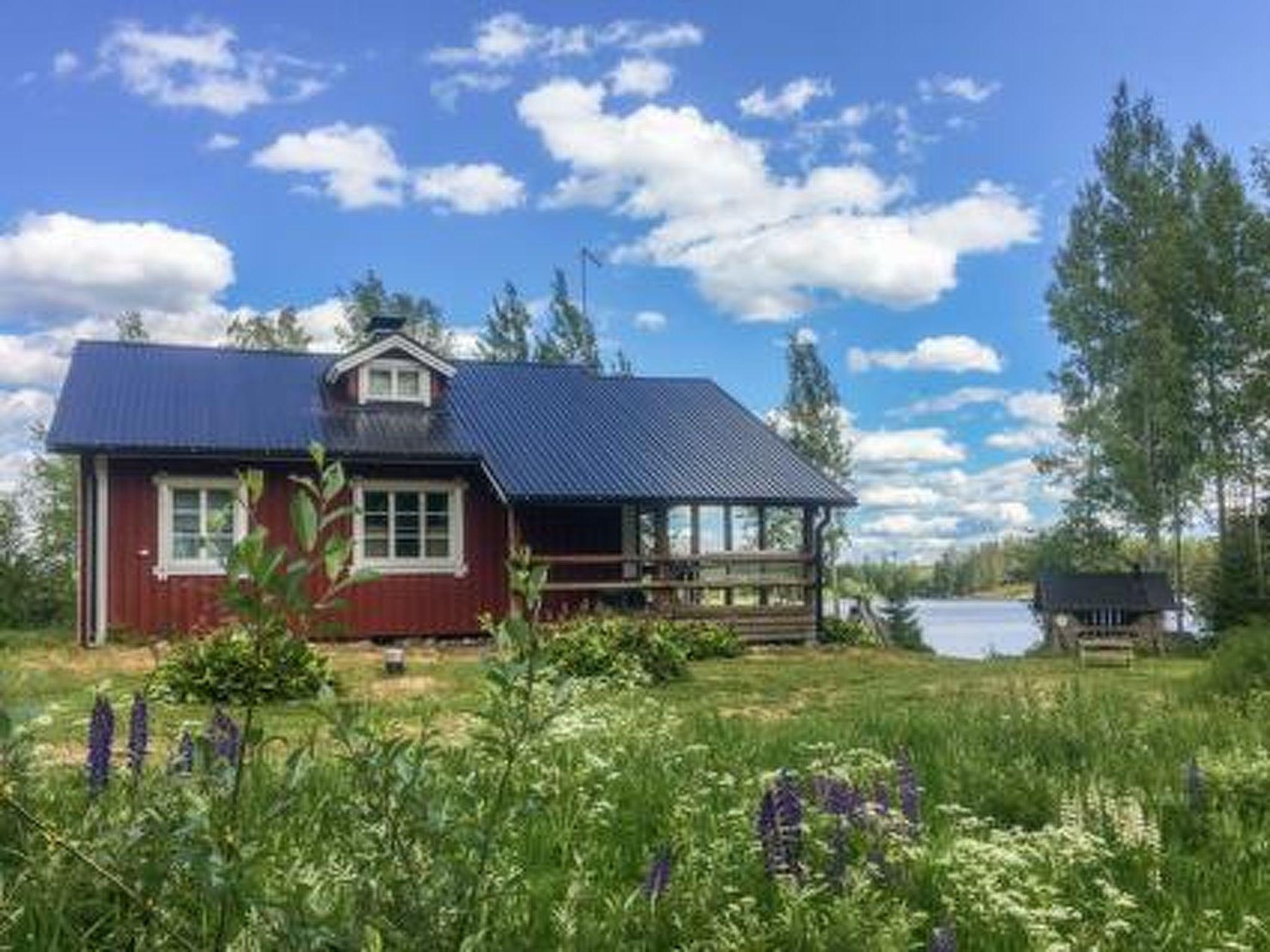Foto 1 - Casa de 2 habitaciones en Petäjävesi con sauna